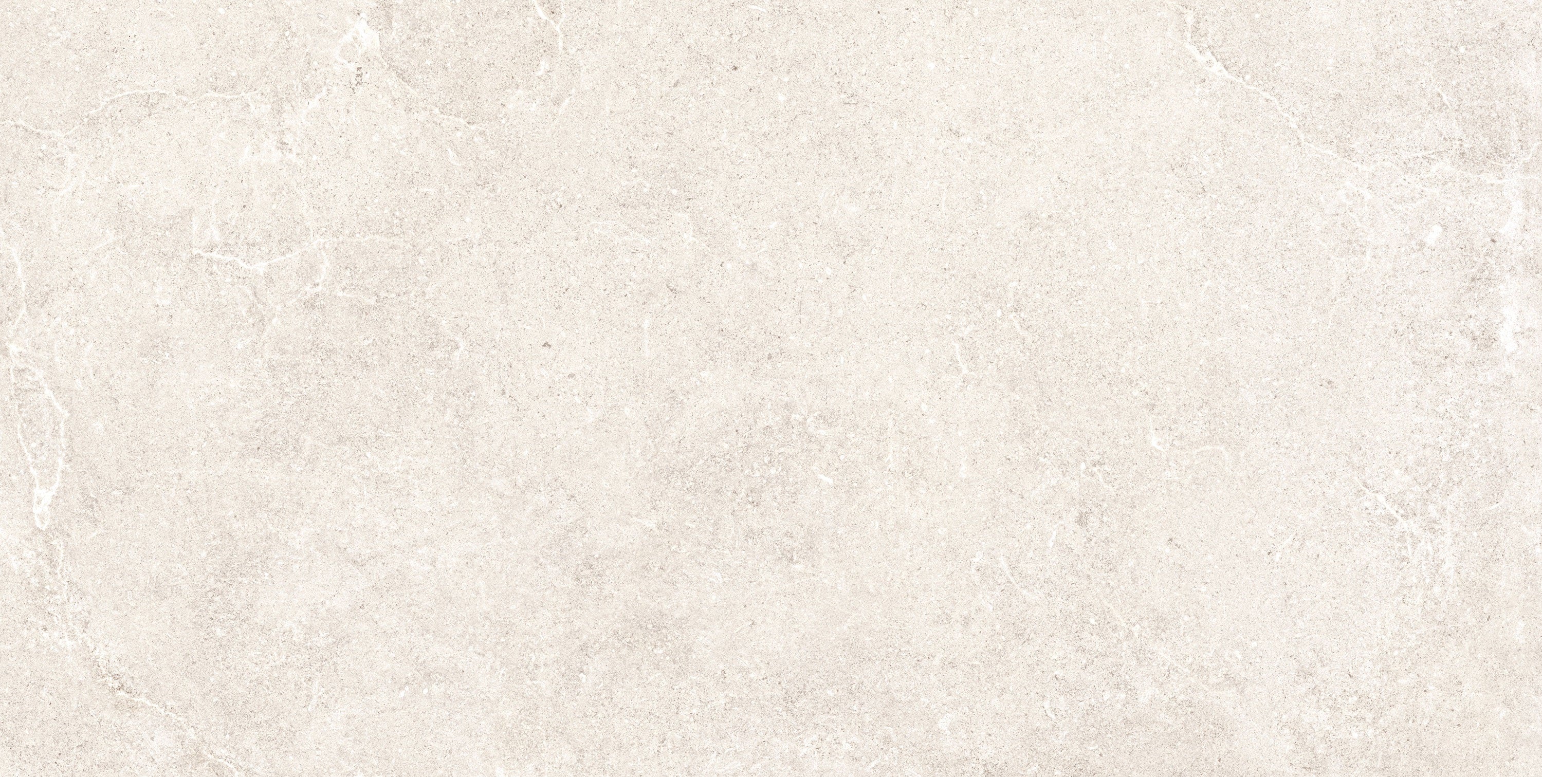 Charleston Charleston_white porcelain field tile, top-down product view, 12"×24"×5/16" size. Premium porcelain for floors and walls.