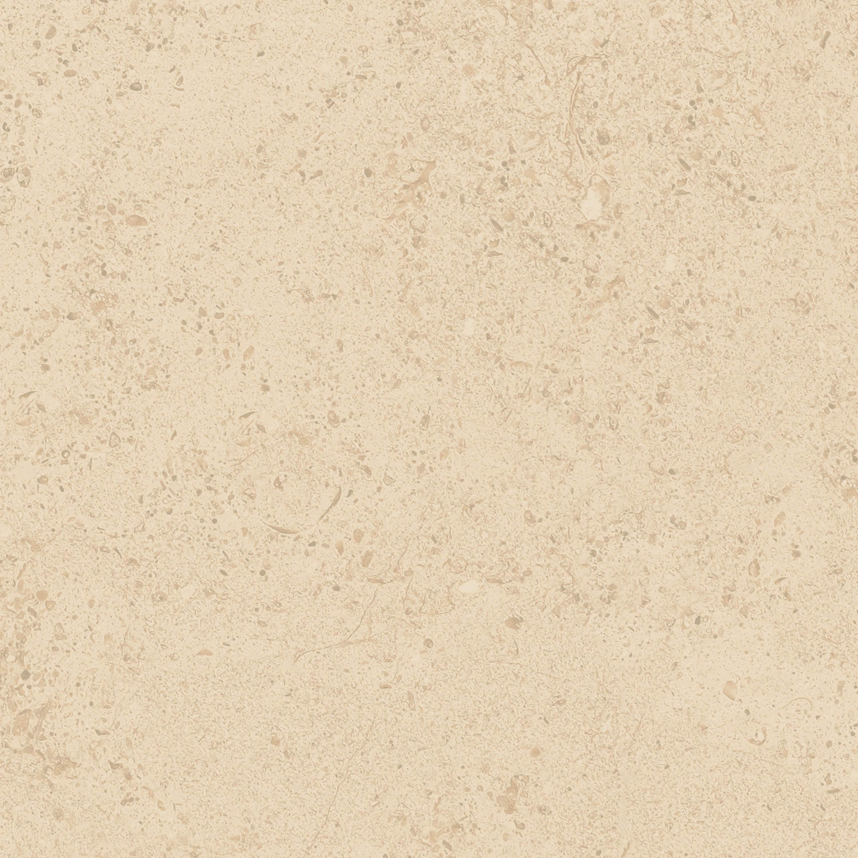 FRONTIER20 Dune porcelain pavers, top-down product view, 12"×25/32" size. Premium porcelain for floors and walls.