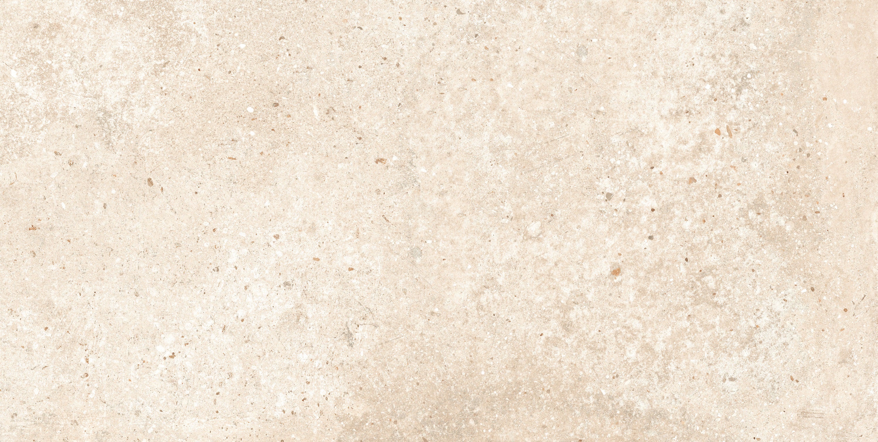 Berlin Ivory porcelain field tile, top-down product view, 12"×24"×5/16" size. Premium porcelain for floors and walls.