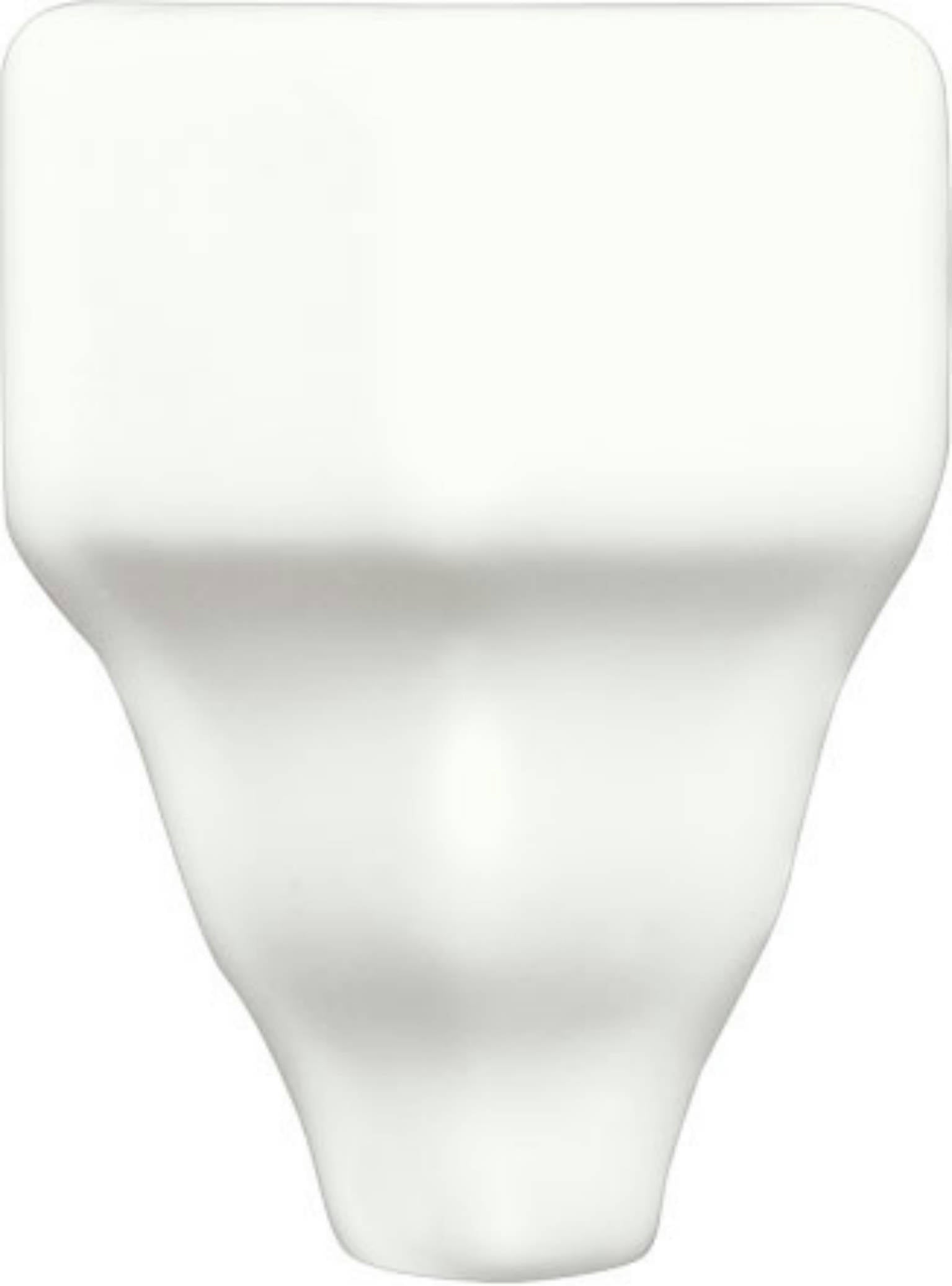 NERI: White End Cap Chair Molding Trim (1.4" | Glossy)