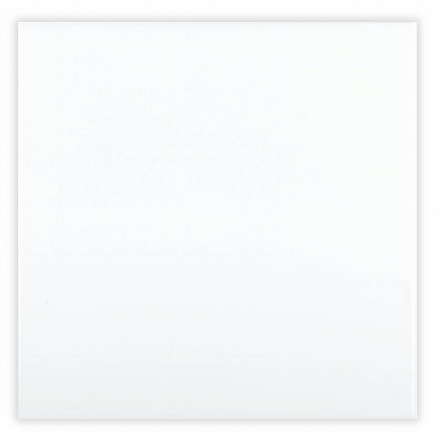 NERI: White Field Tile (6"x6" | Glossy)