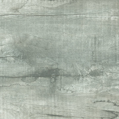 Gray tile and surface collection