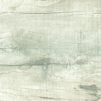 White Nirvana tile and surface collection