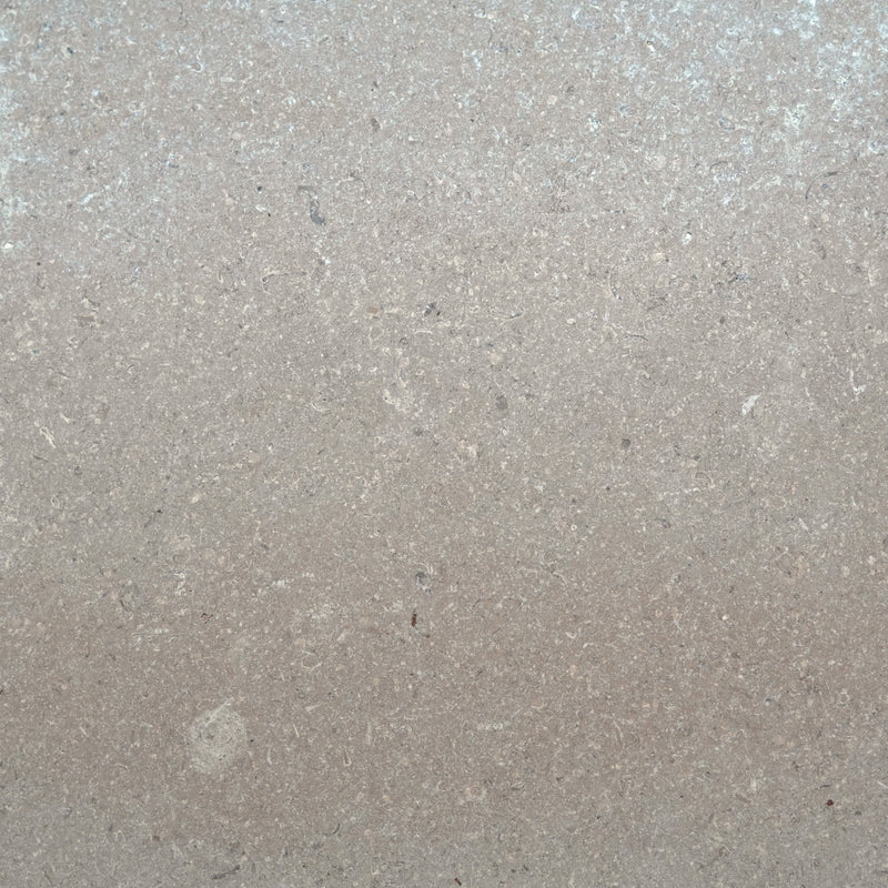 Champagne Taupe Limestone – Limestone collection