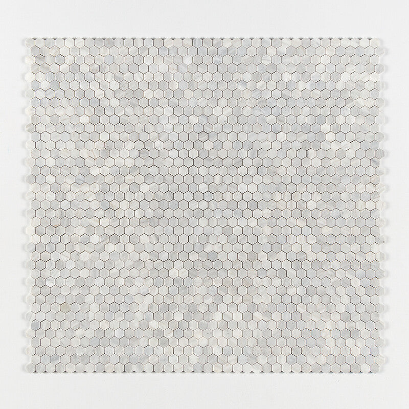 AVENZA : Hexagon Mosaic (honed | 11"x12"x5/8" | straight cut)