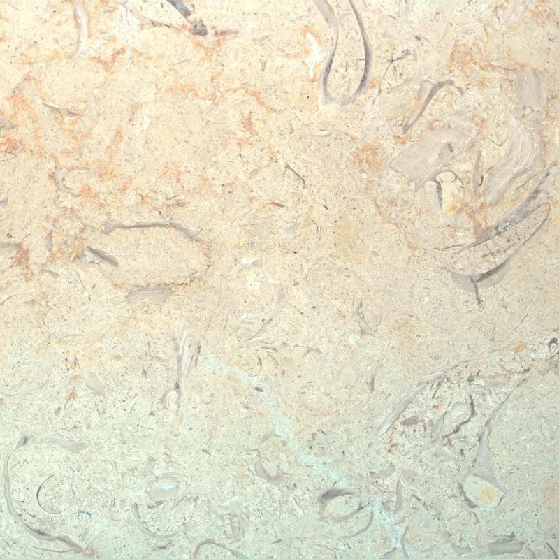 Mount Carmel Limestone – Limestone collection