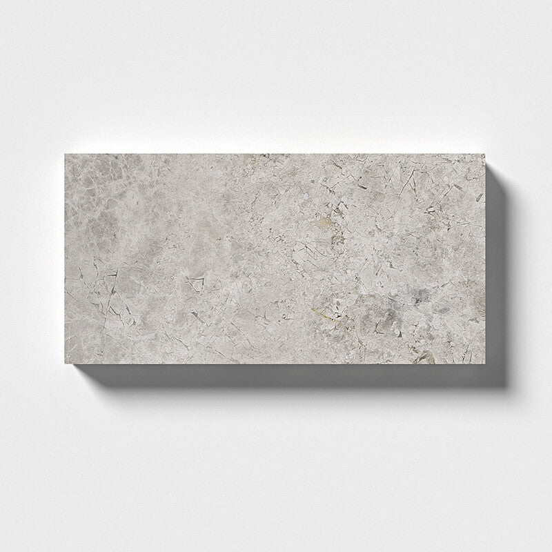 SILVER CLOUDS : Rectangle Field Tile (polished | 2"x5"x3/4" | straight cut)