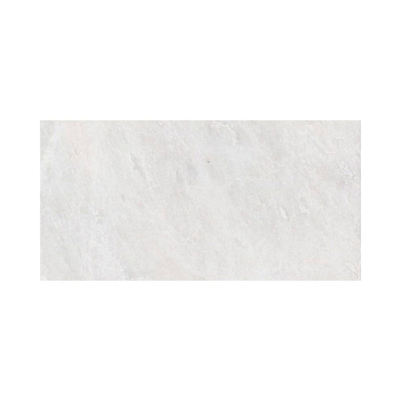 ICEBERG : Rectangle Field Tile (polished | 2"x5"x3/4" | straight cut)