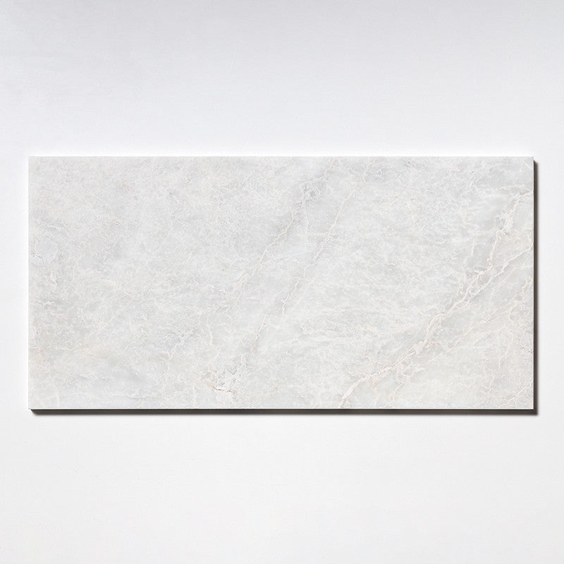 ICEBERG : Rectangle Field Tile (polished | 12"x24"x1/2" | straight cut)