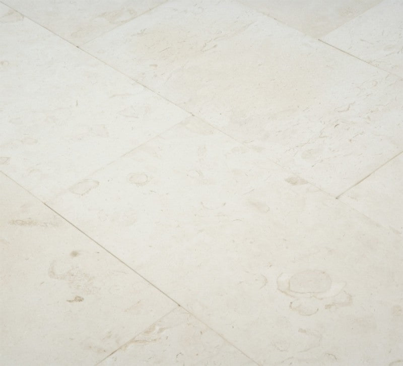 CORINTHIAN FOSSIL: Limestone Square Field Tile (12"x12"x3/8" | honed | eased bevel)