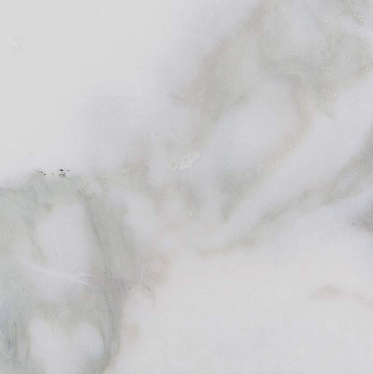 CALACATTA OLIVE: Marble Rectangle Field Tile (12"x24"x3/8" | polished | eased bevel)