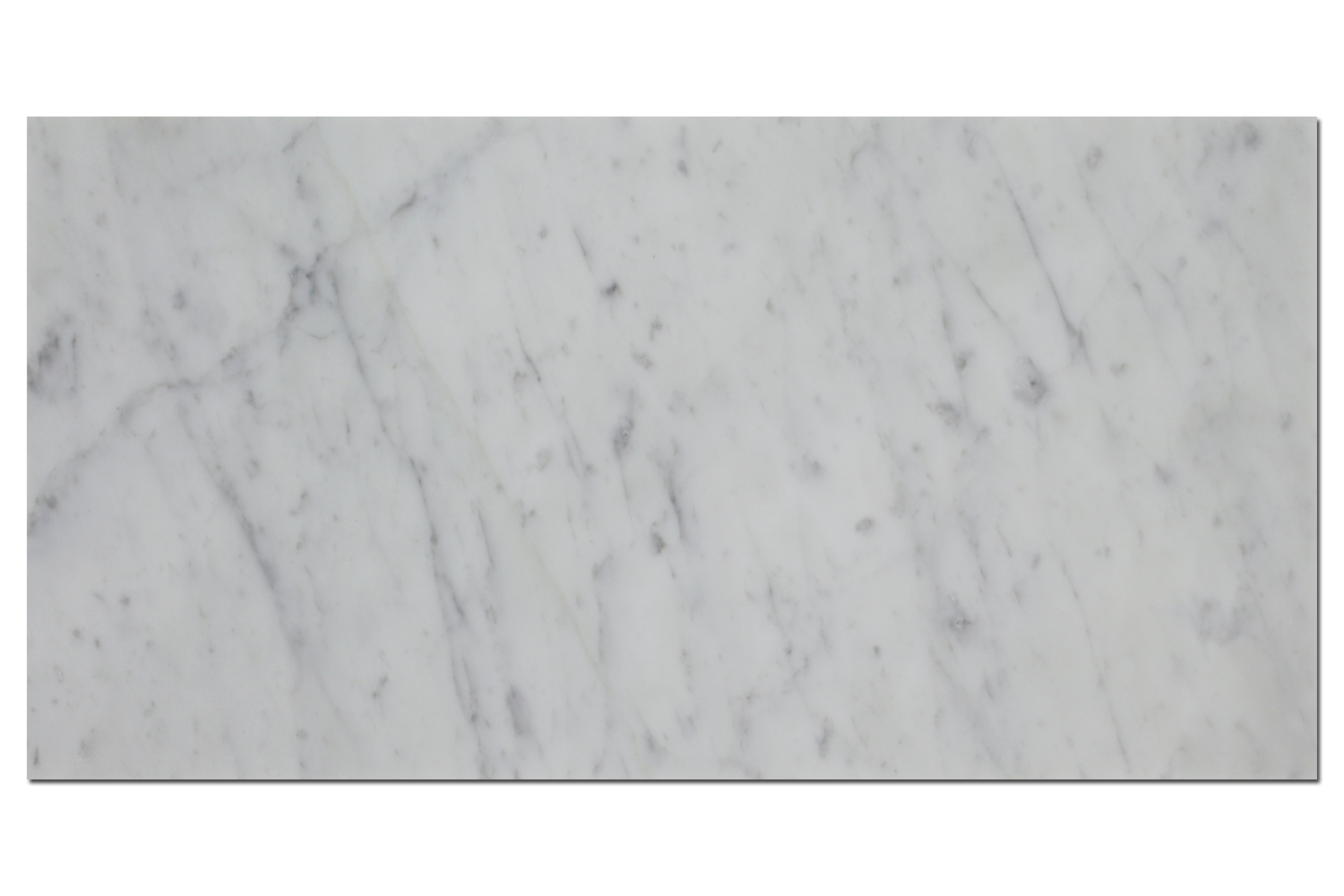 CARRARA: Marble Rectangle Field Tile (12"x24"x3/8" | honed)