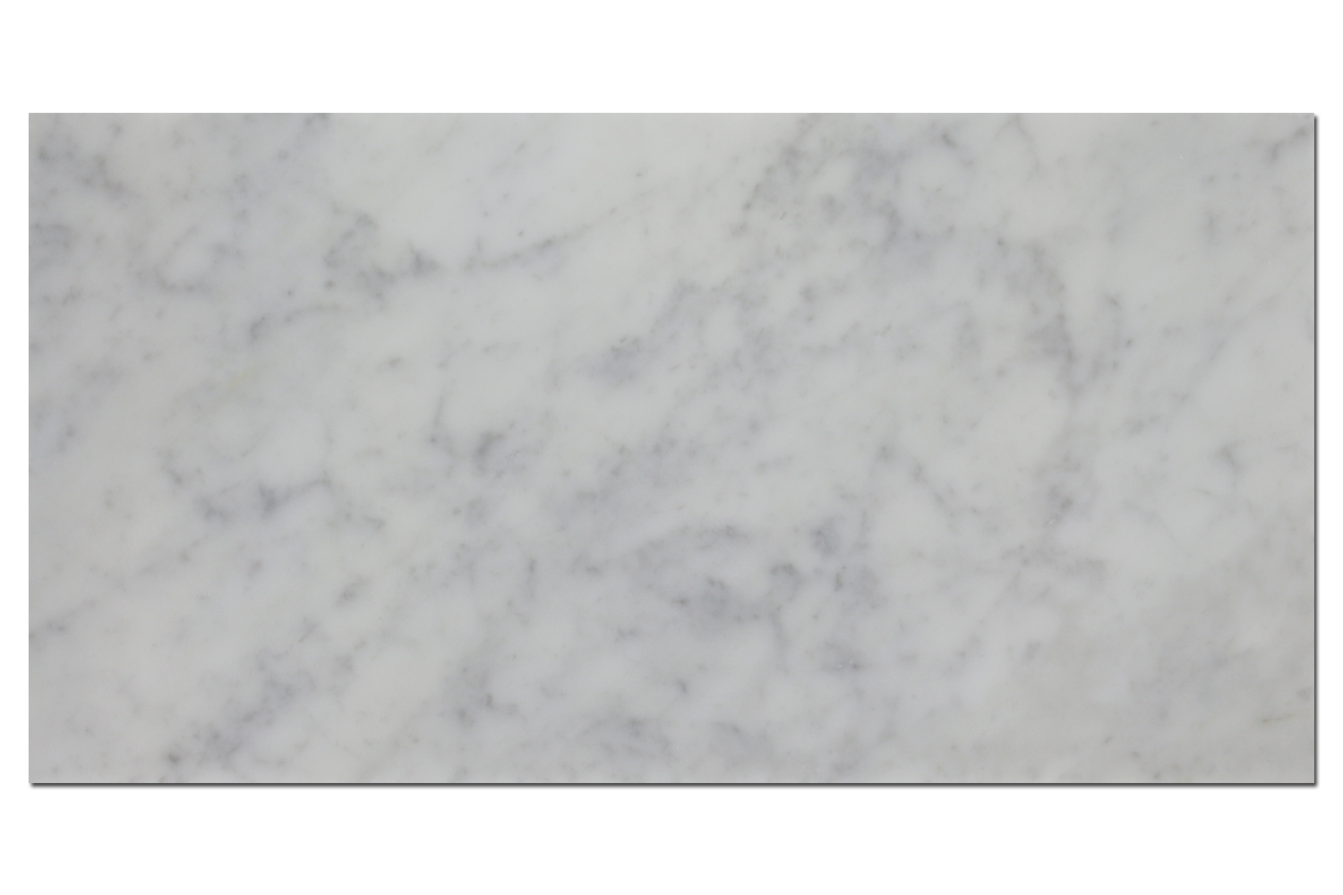 CARRARA: Marble Rectangle Field Tile (12"x24"x3/8" | polished)