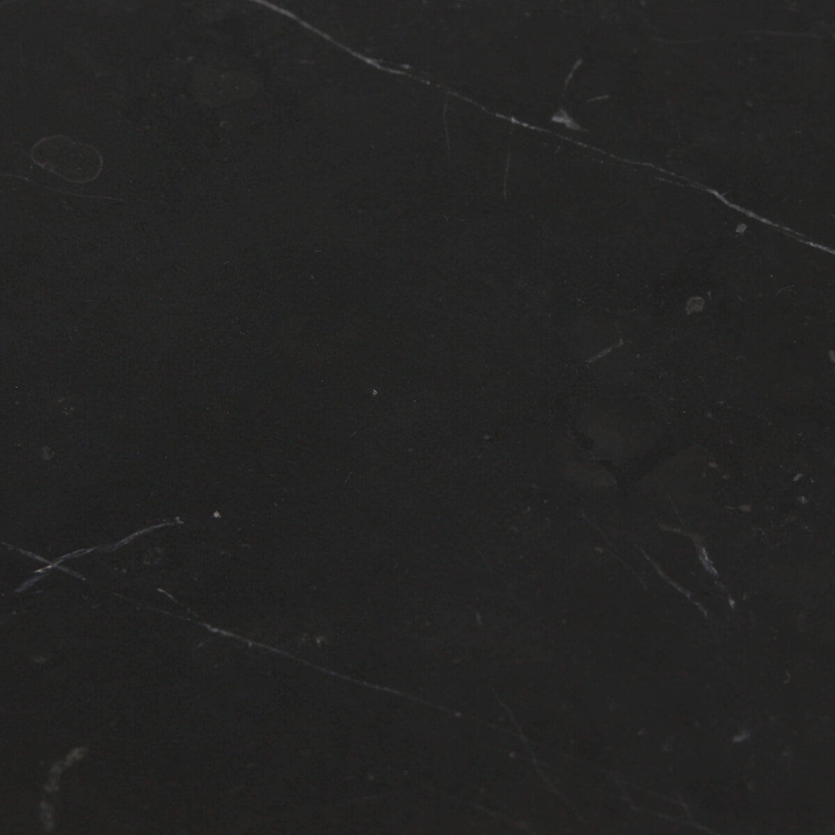 TAURUS BLACK: Marble Square Field Tile (12"x12"x3/8" | honed)