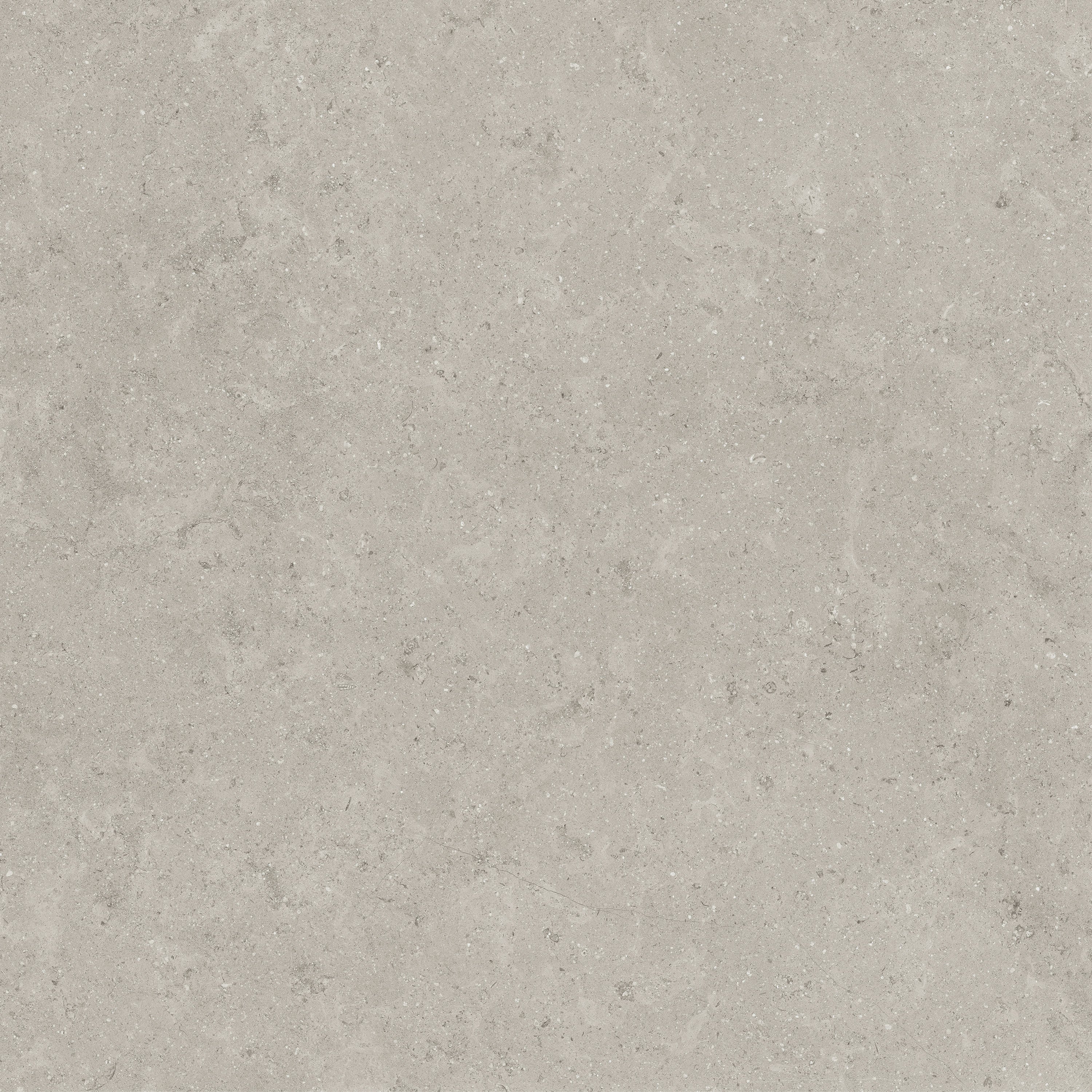 FRONTIER20 Ash porcelain pavers, top-down product view, 24"×24"×25/32" size. Premium porcelain for floors and walls.