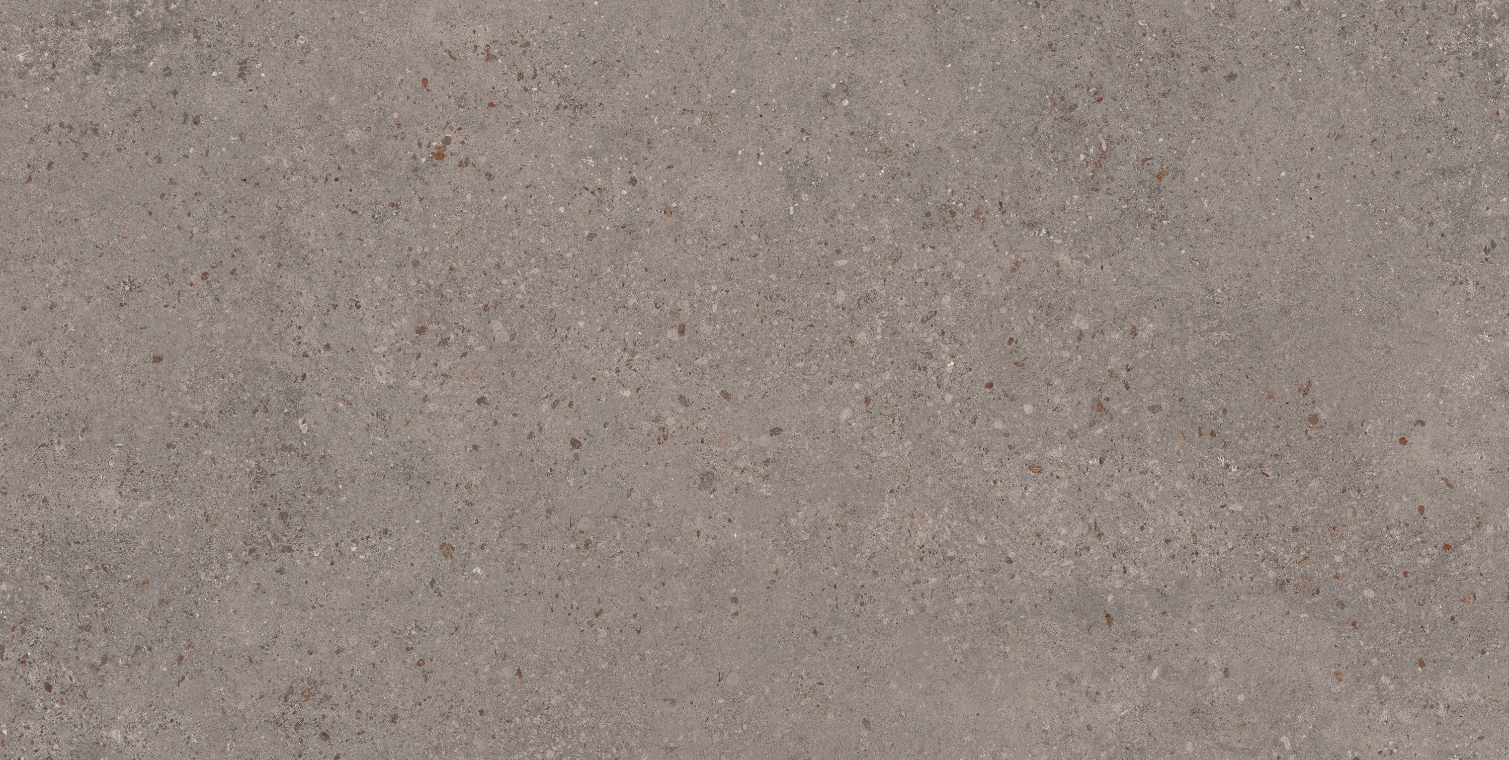 Berlin Charcoal porcelain field tile, top-down product view, 12"×24"×5/16" size. Premium porcelain for floors and walls.
