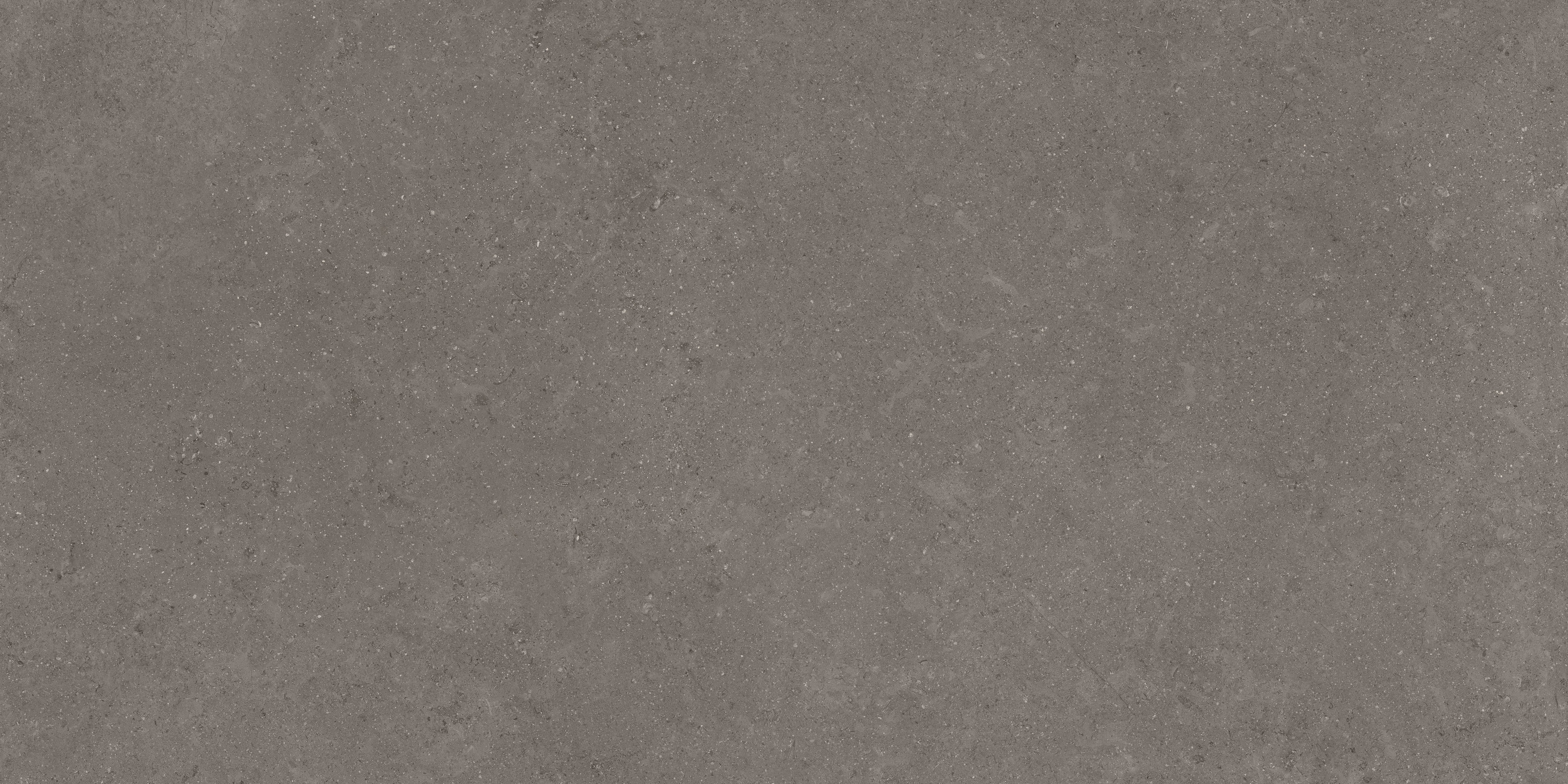 Mood Dark porcelain field tile, top-down product view, 24"×48"×11/32" size. Premium porcelain for floors and walls.