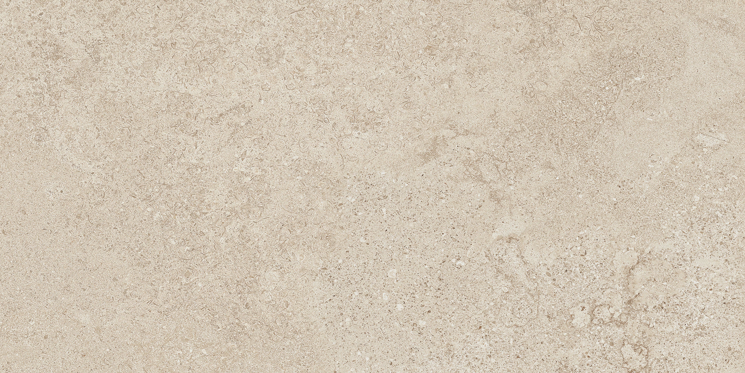 Siena Sand porcelain field tile, top-down product view, 12"×24"×5/16" size. Premium porcelain for floors and walls.