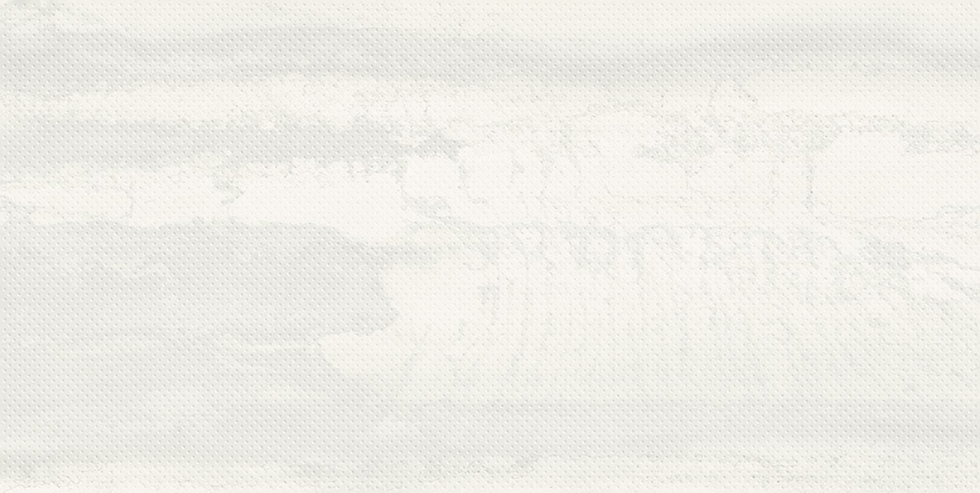 Metallica Steel White porcelain decorative accent tile by Emil, naturale finish, 60x120 cm size. Premium Italian porcelain for floors and walls.