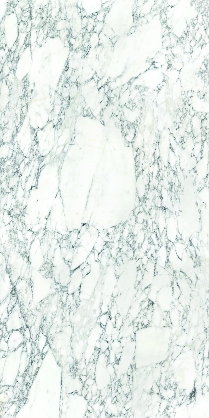 Aeterna Arabescato Vagli polished tile — available at Surface Group lifestyle image
