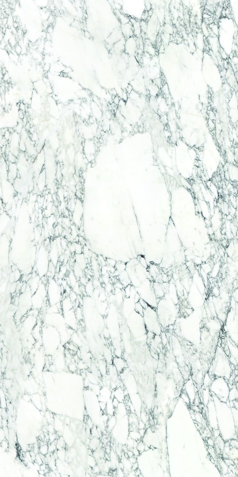 Aeterna Arabescato Vagli polished slab studio photograph — available at Surface Group lifestyle image