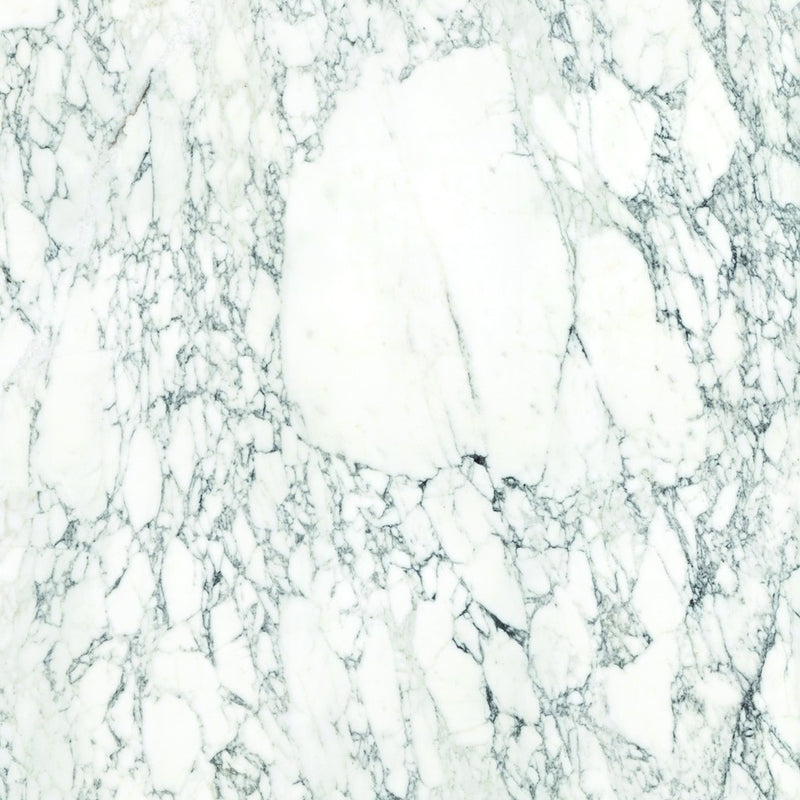 Aeterna Arabescato Vagli polished tile — available at Surface Group lifestyle image
