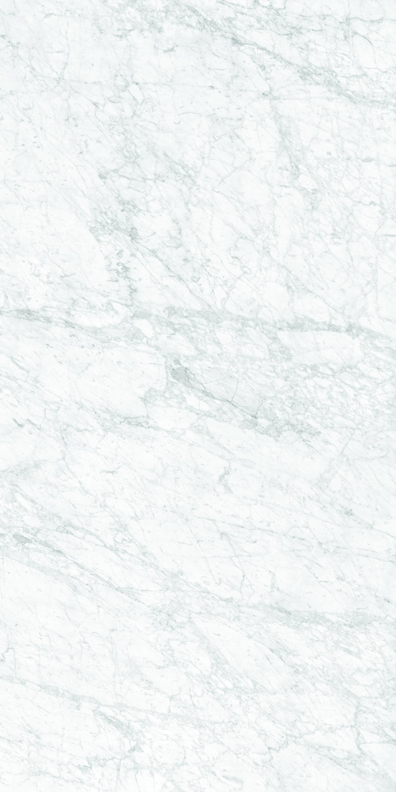 Aeterna Bianco Gioia polished slab studio photograph — available at Surface Group lifestyle image