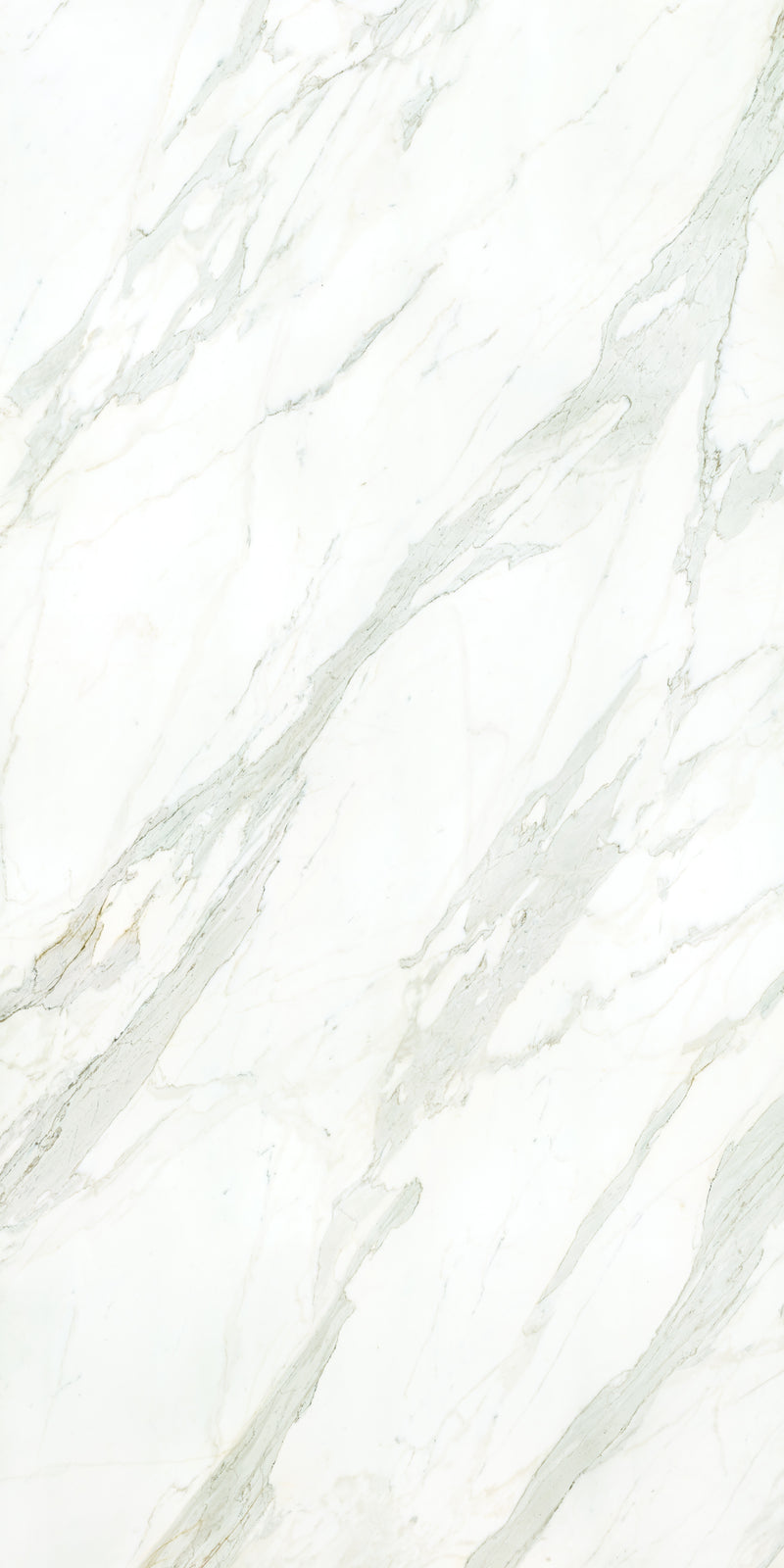Aeterna Calacatta Borghini polished slab studio photograph — available at Surface Group lifestyle image