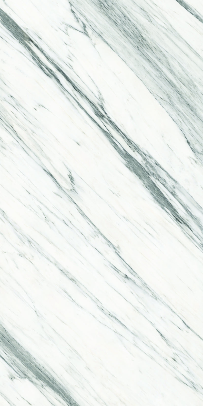 Aeterna Calacatta Carrara polished slab studio photograph — available at Surface Group lifestyle image