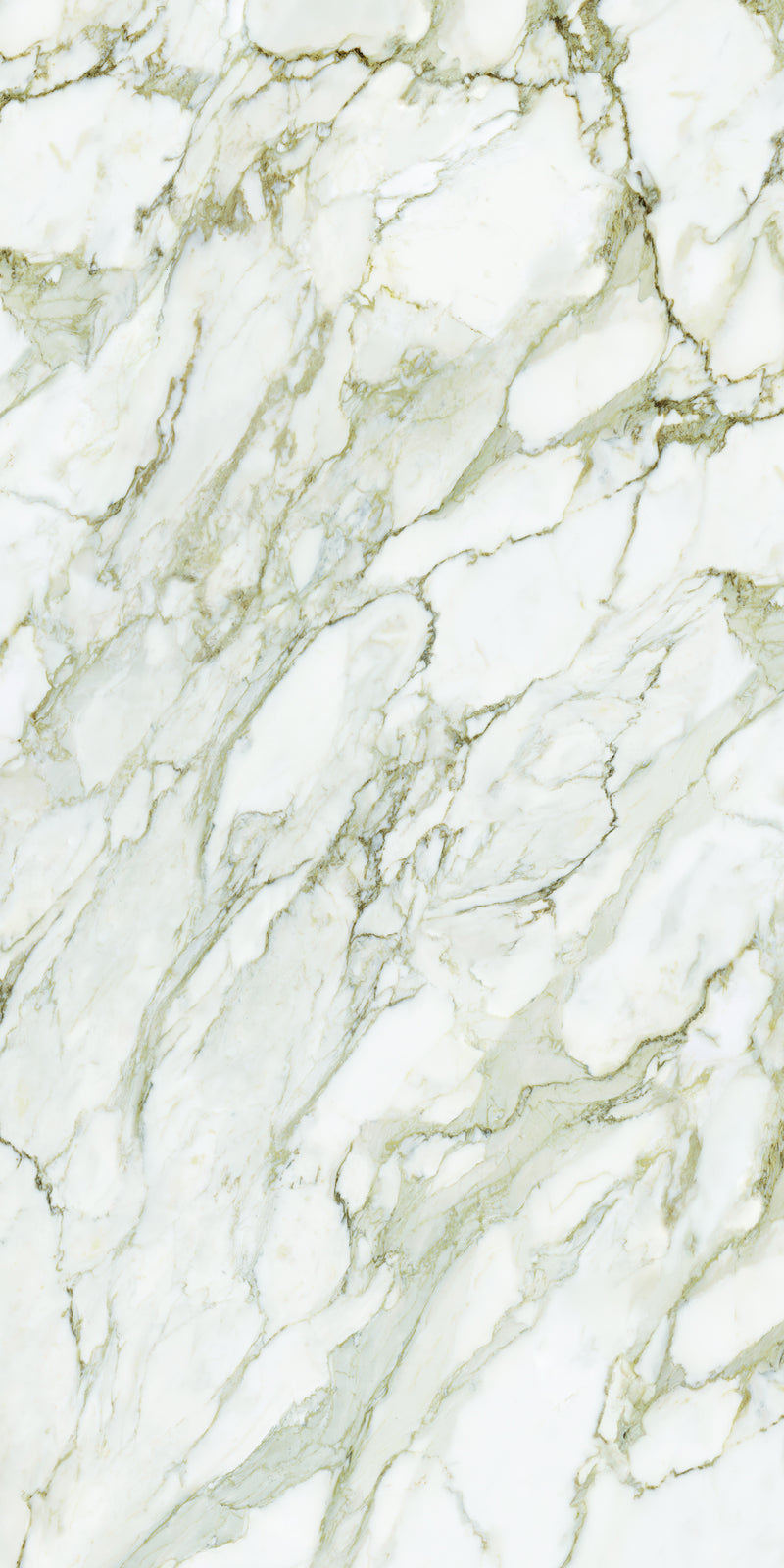 Aeterna Calacatta Oro polished tile — available at Surface Group lifestyle image