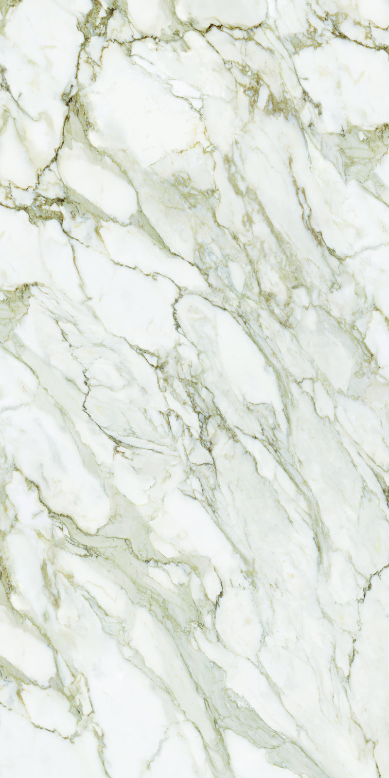 Aeterna Calacatta Oro polished slab studio photograph — available at Surface Group lifestyle image