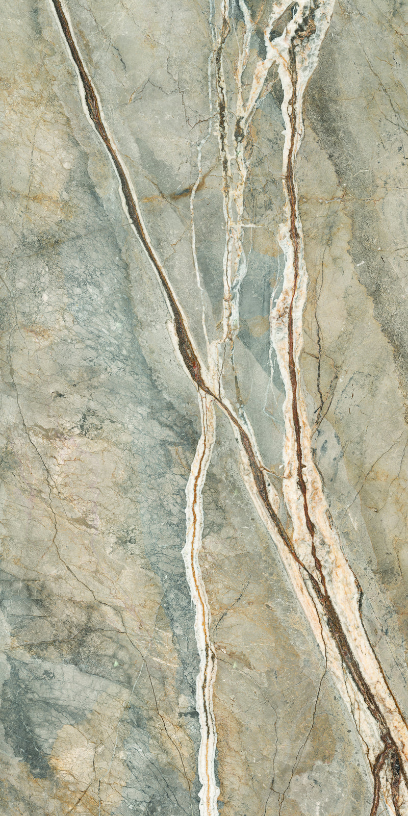 Aeterna Foresta polished slab studio photograph — available at Surface Group lifestyle image