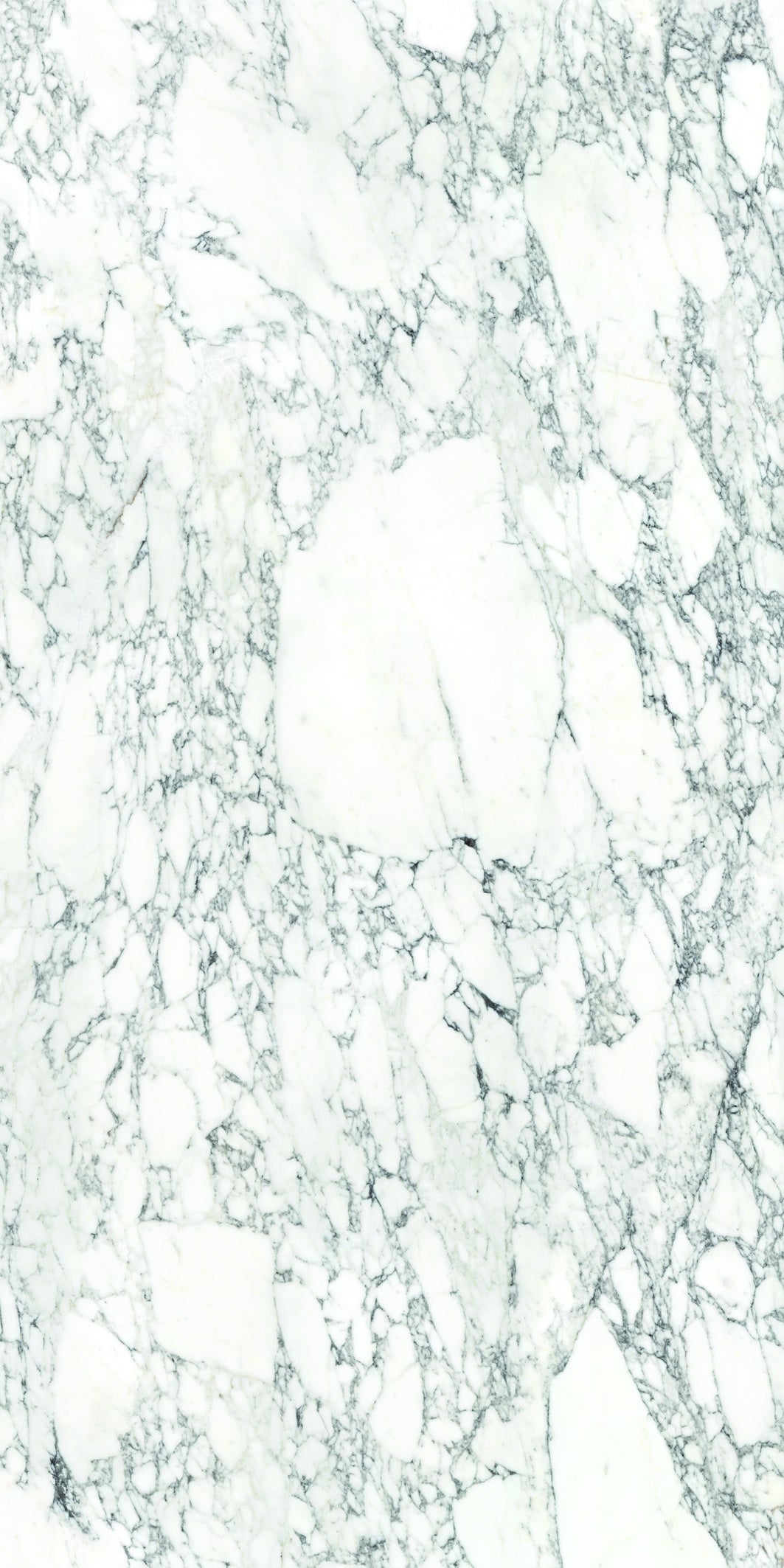 ARABESCATO VAGLI: Slabs (23 5/8"×110 1/4" | Satin | Rectified)