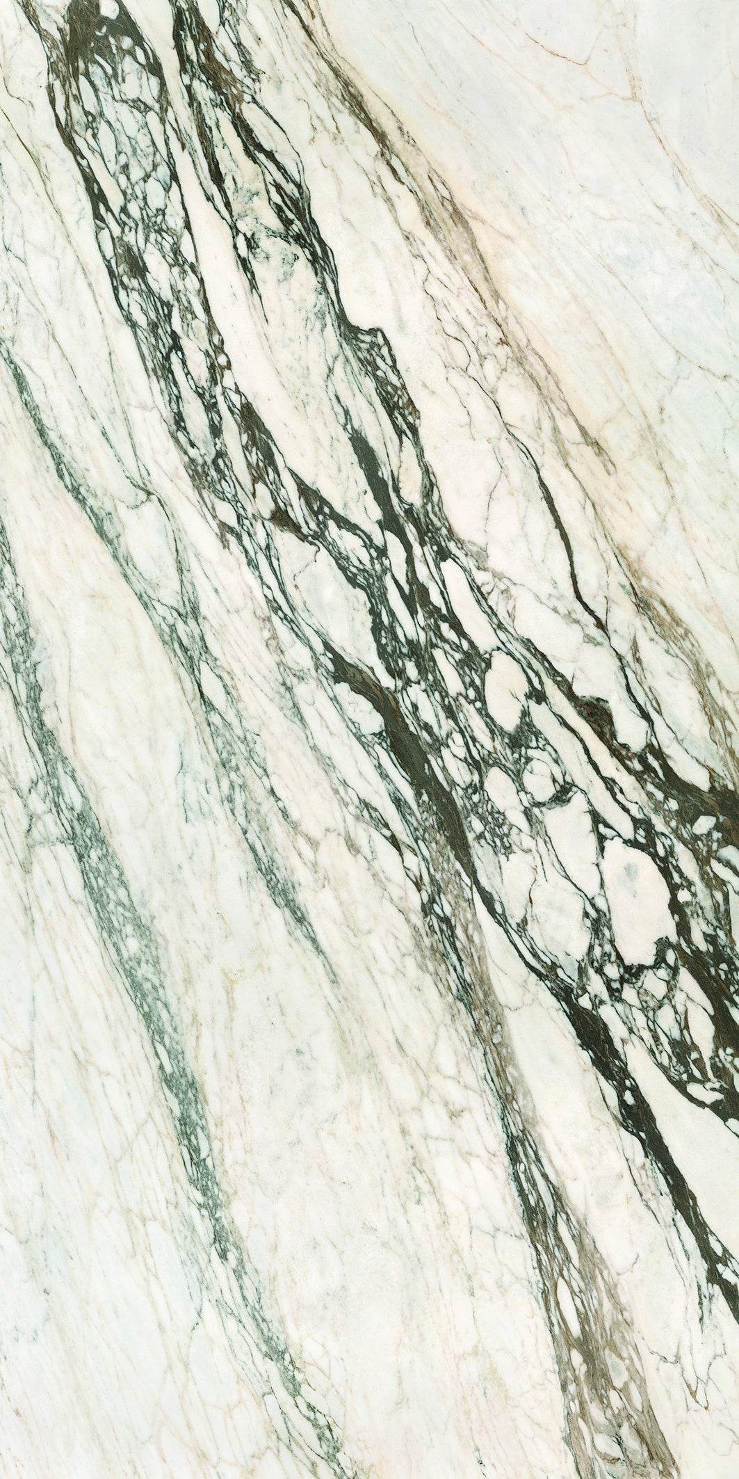 Calacatta Picasso slabs by Anatolia Aeterna, top-down product view, 63 25/32"×126 25/32" size. Premium porcelain for floors and walls.