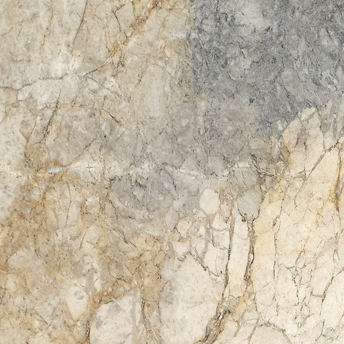 Majesto Foresta sintered stone slabs by Anatolia, top-down product view, 64"×127"×15/32" size. Turkish sintered stone for floors and walls.
