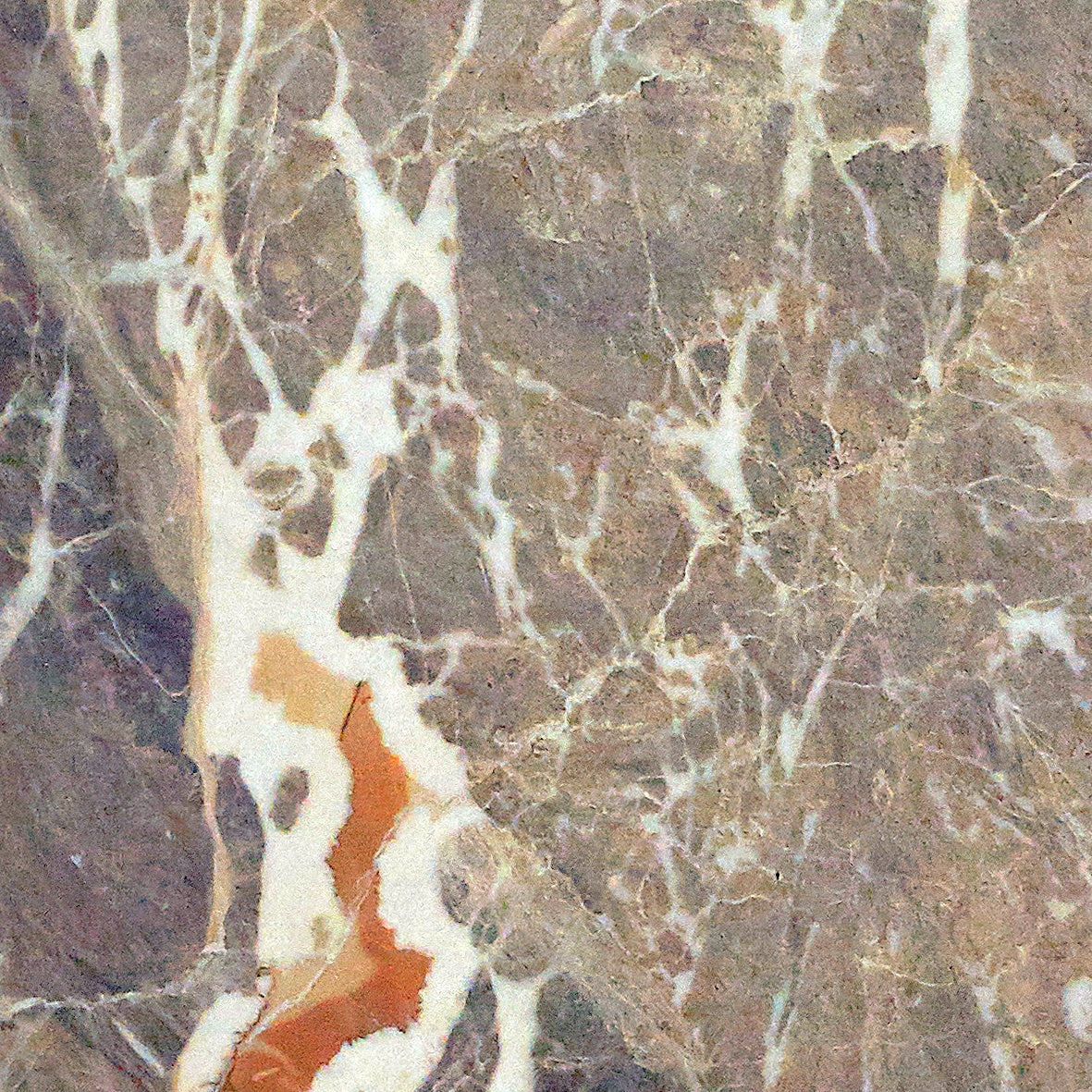 Majesto Macchia Vecchia sintered stone slabs by Anatolia, top-down product view, 64"×127"×15/32" size. Turkish sintered stone for floors and walls.