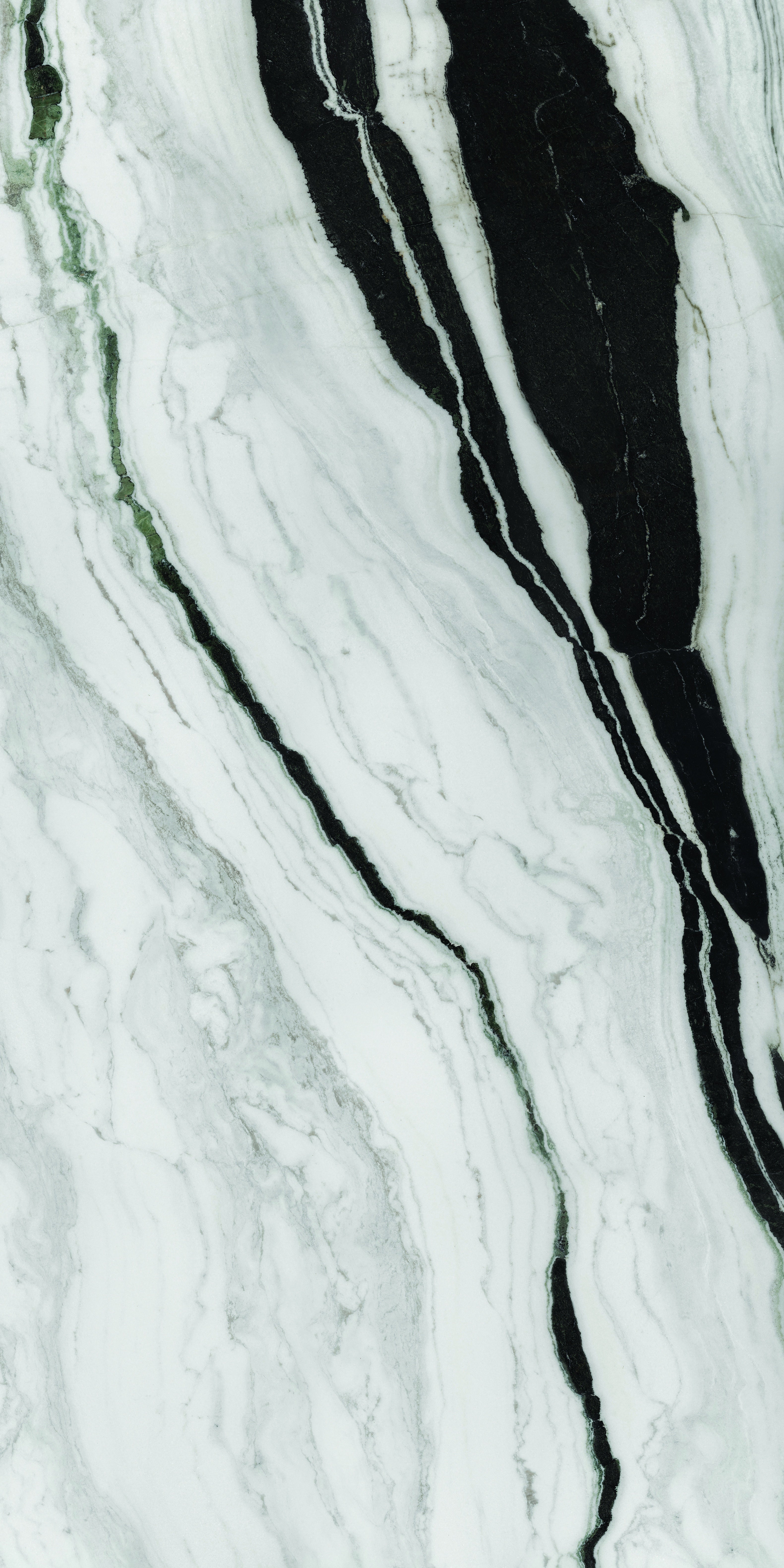 PANDA: Slabs (23 5/8"×110 1/4" | Polished | Rectified)