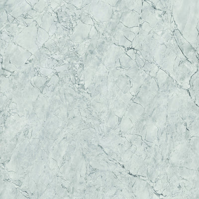 Glossy Solid Color Porcelain tile and surface collection