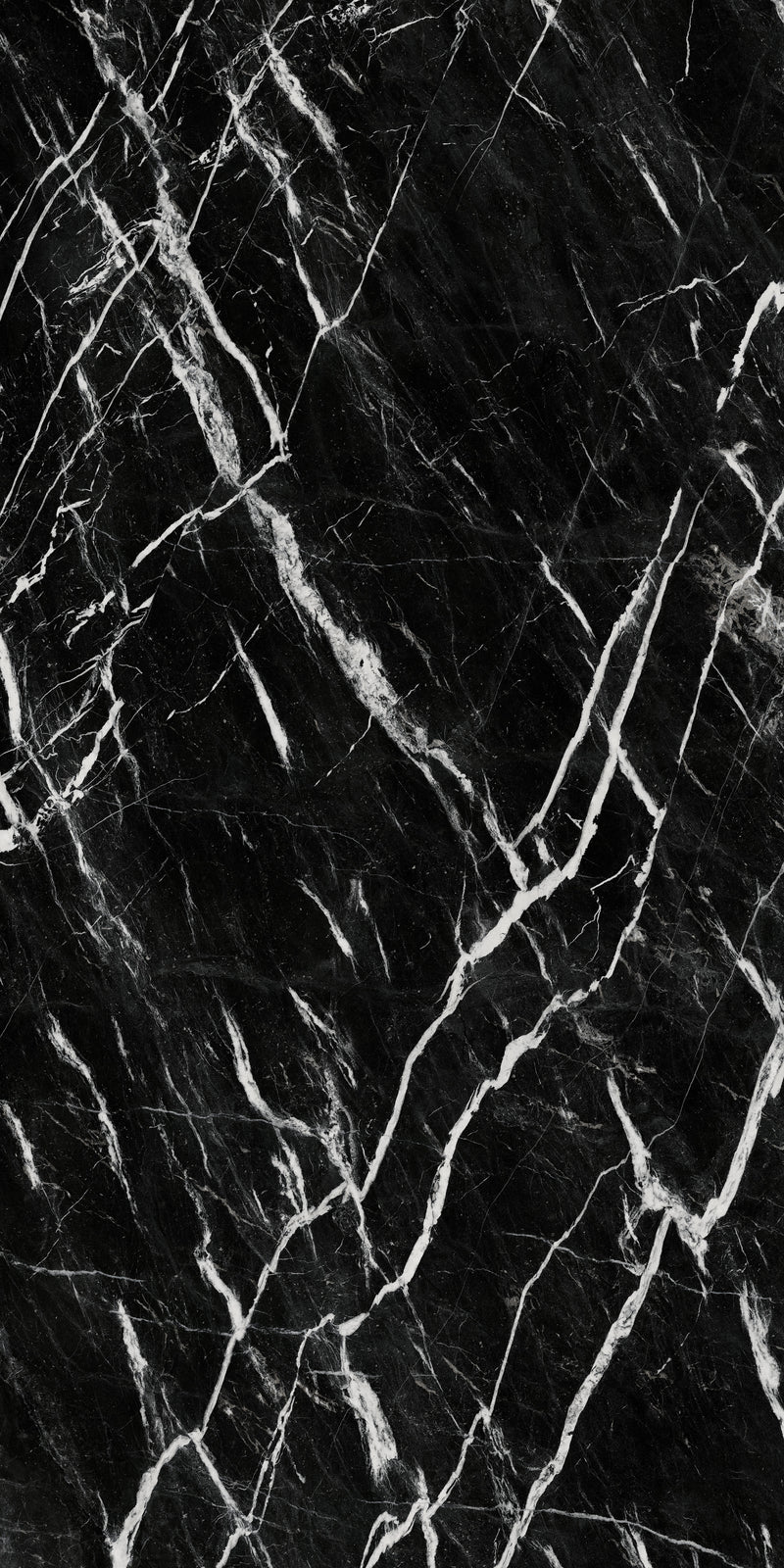 Aeterna Nero Marquina polished tile — available at Surface Group lifestyle image