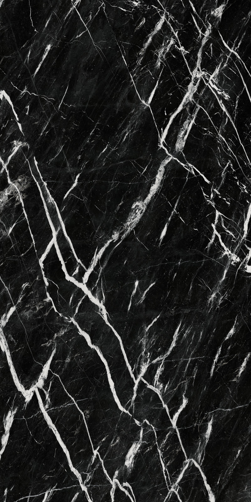 Aeterna Nero Marquina polished tile — available at Surface Group lifestyle image