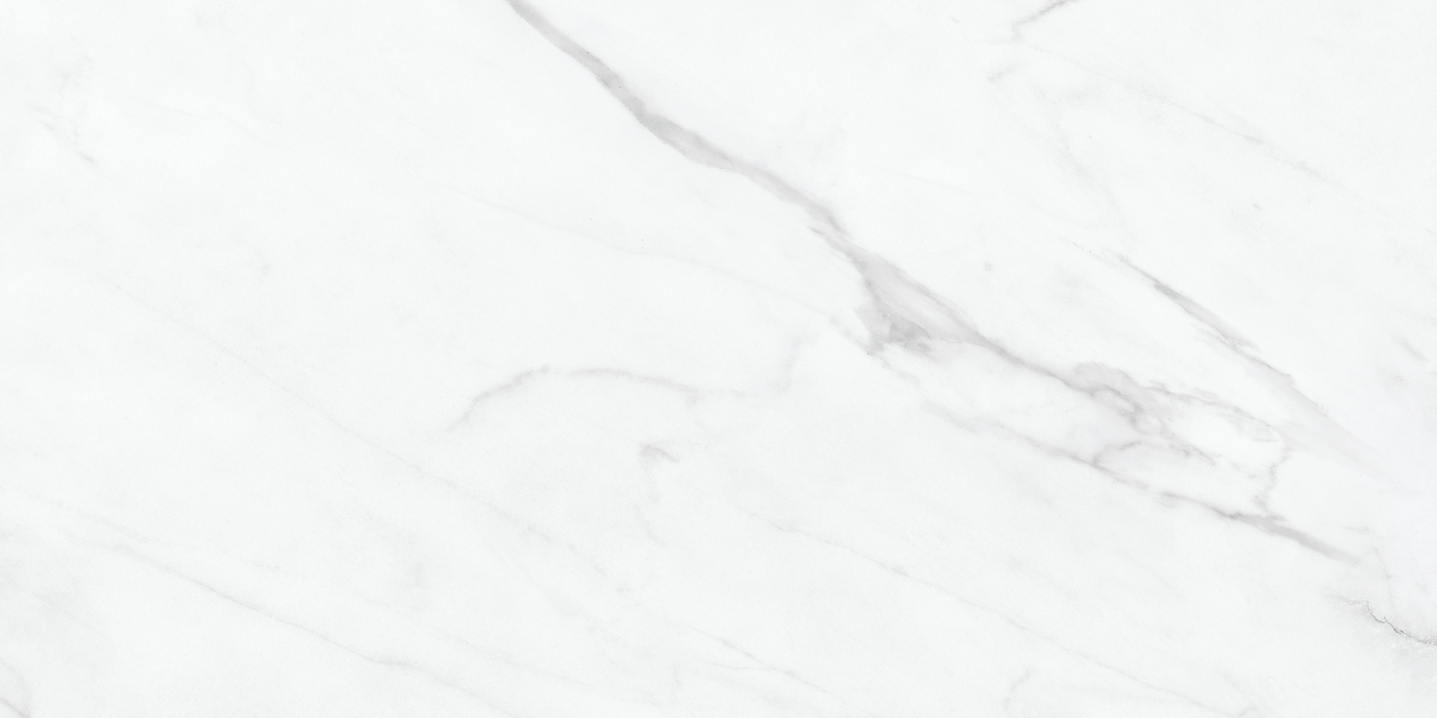 Altezza Carrara porcelain field tile by Anatolia, top-down product view, 12"×24"×11/32" size. Turkish porcelain for floors and walls.