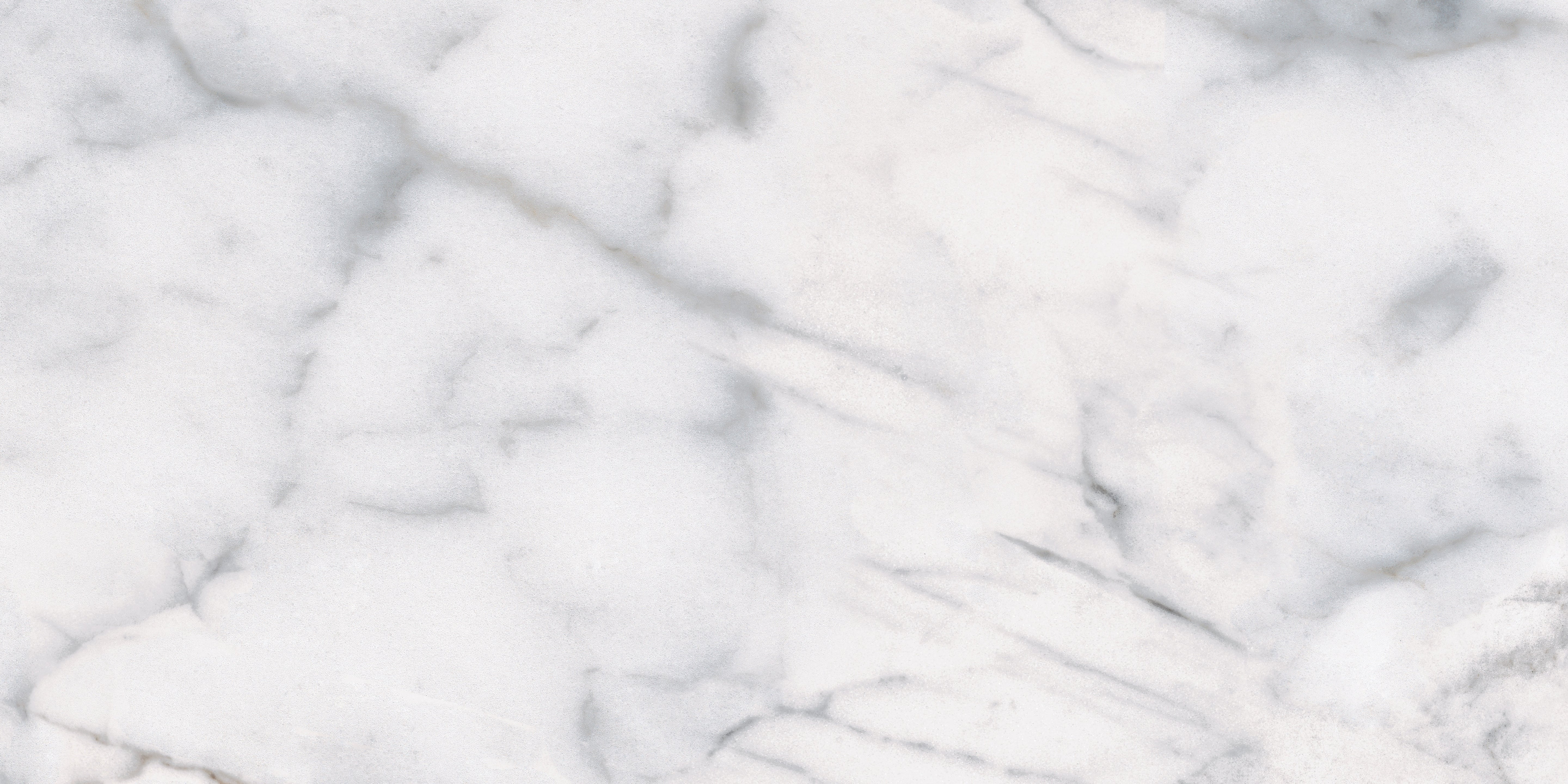 Classic Carrara porcelain field tile by Anatolia, top-down product view, 12"×24"×11/32" size. Turkish porcelain for floors and walls.