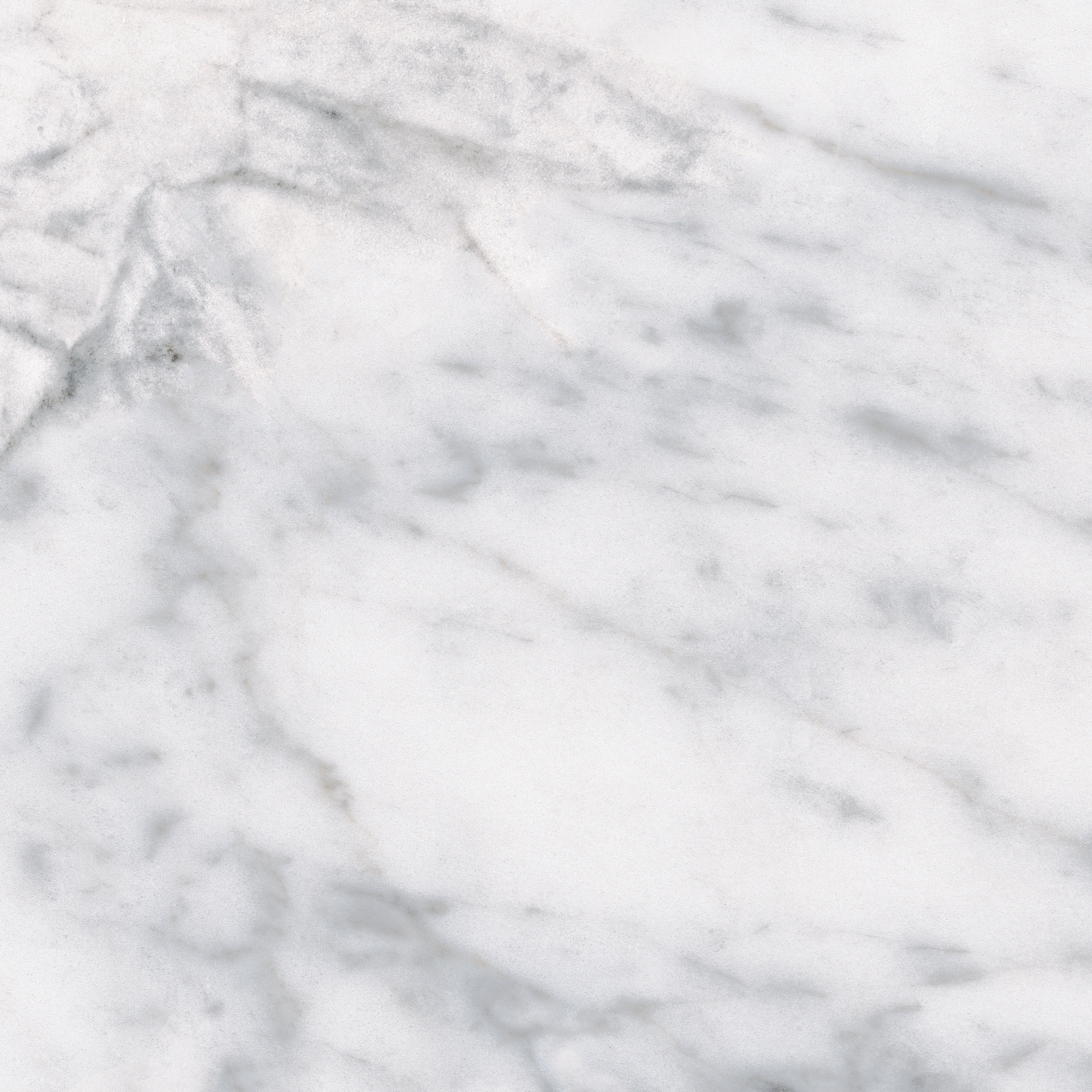 Classic Carrara porcelain field tile by Anatolia, top-down product view, 18"×5/16" size. Turkish porcelain for floors and walls.