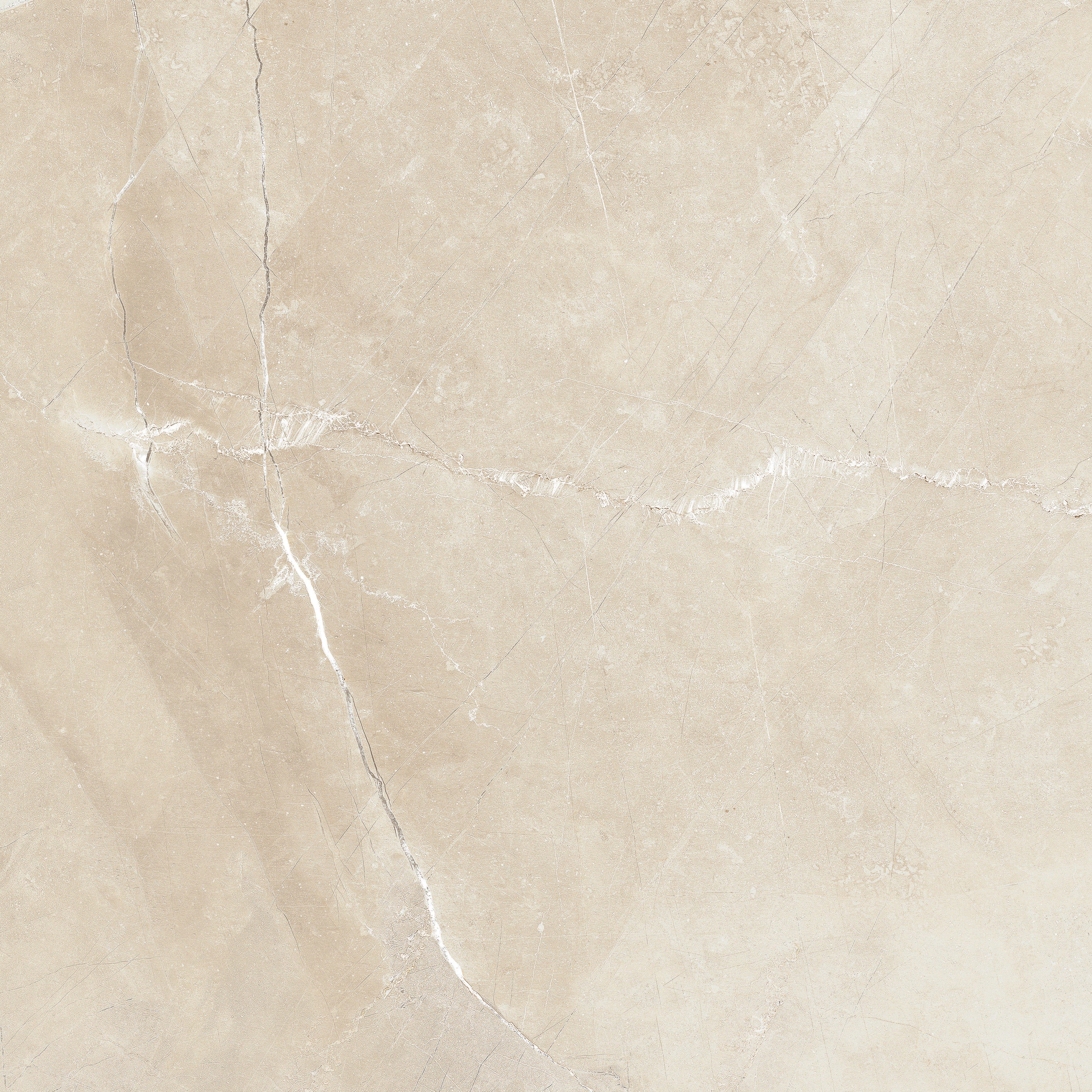 Classic Pulpis Ivory porcelain field tile by Anatolia, top-down product view, 18"×5/16" size. Turkish porcelain for floors and walls.