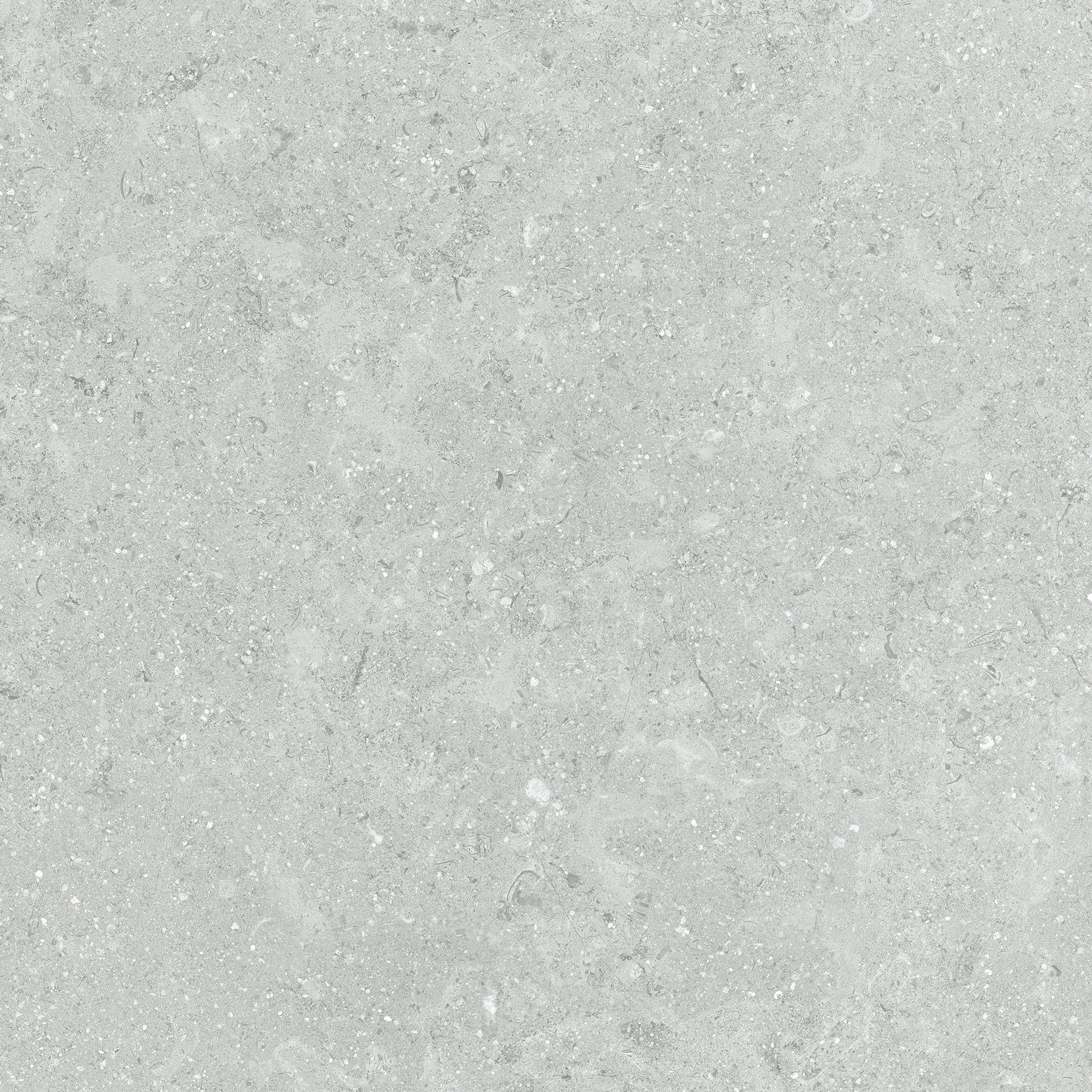 Coliseo Platinum porcelain field tile by Anatolia, top-down product view, 13"×5/16" size. Turkish porcelain for floors and walls.