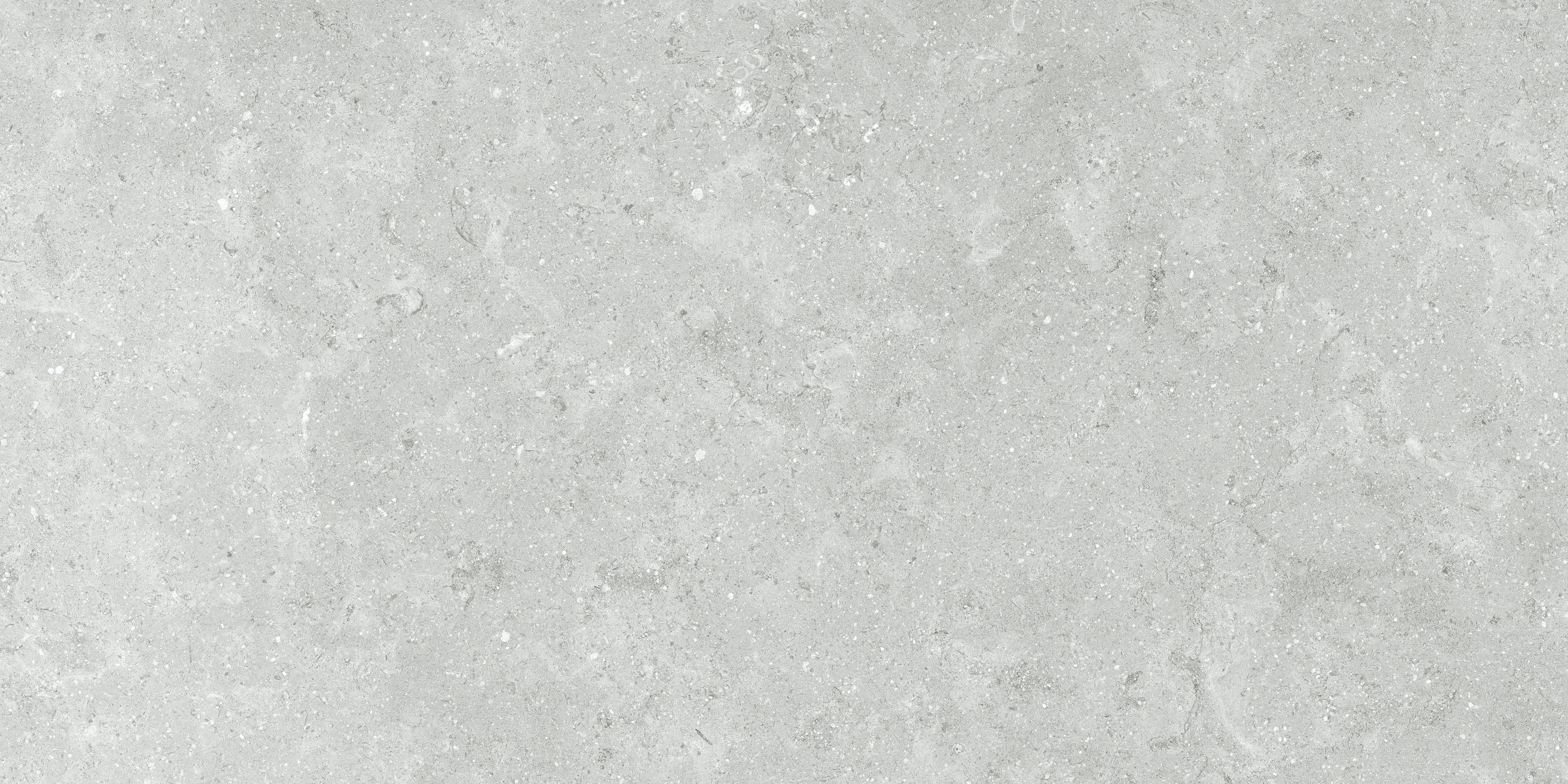 Coliseo Platinum porcelain field tile by Anatolia, top-down product view, 12"×24"×11/32" size. Turkish porcelain for floors and walls.