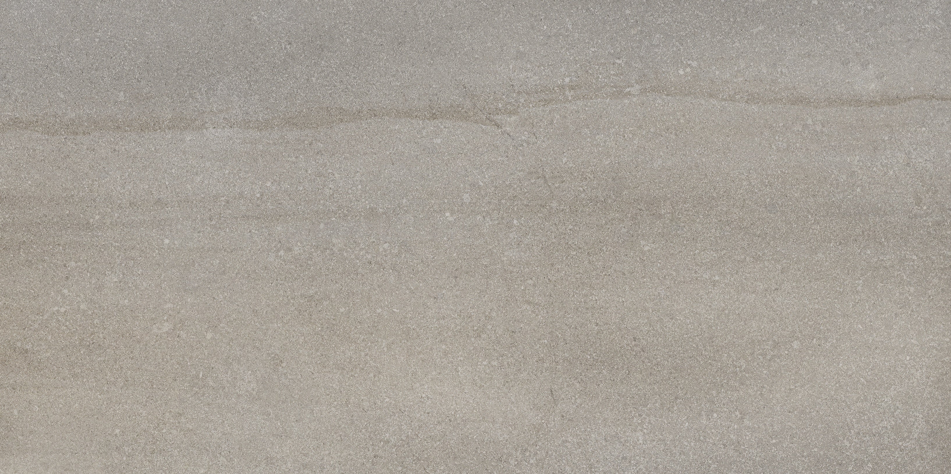 Crux Ash porcelain field tile by Anatolia, top-down product view, 12"×24"×11/32" size. Turkish porcelain for floors and walls.