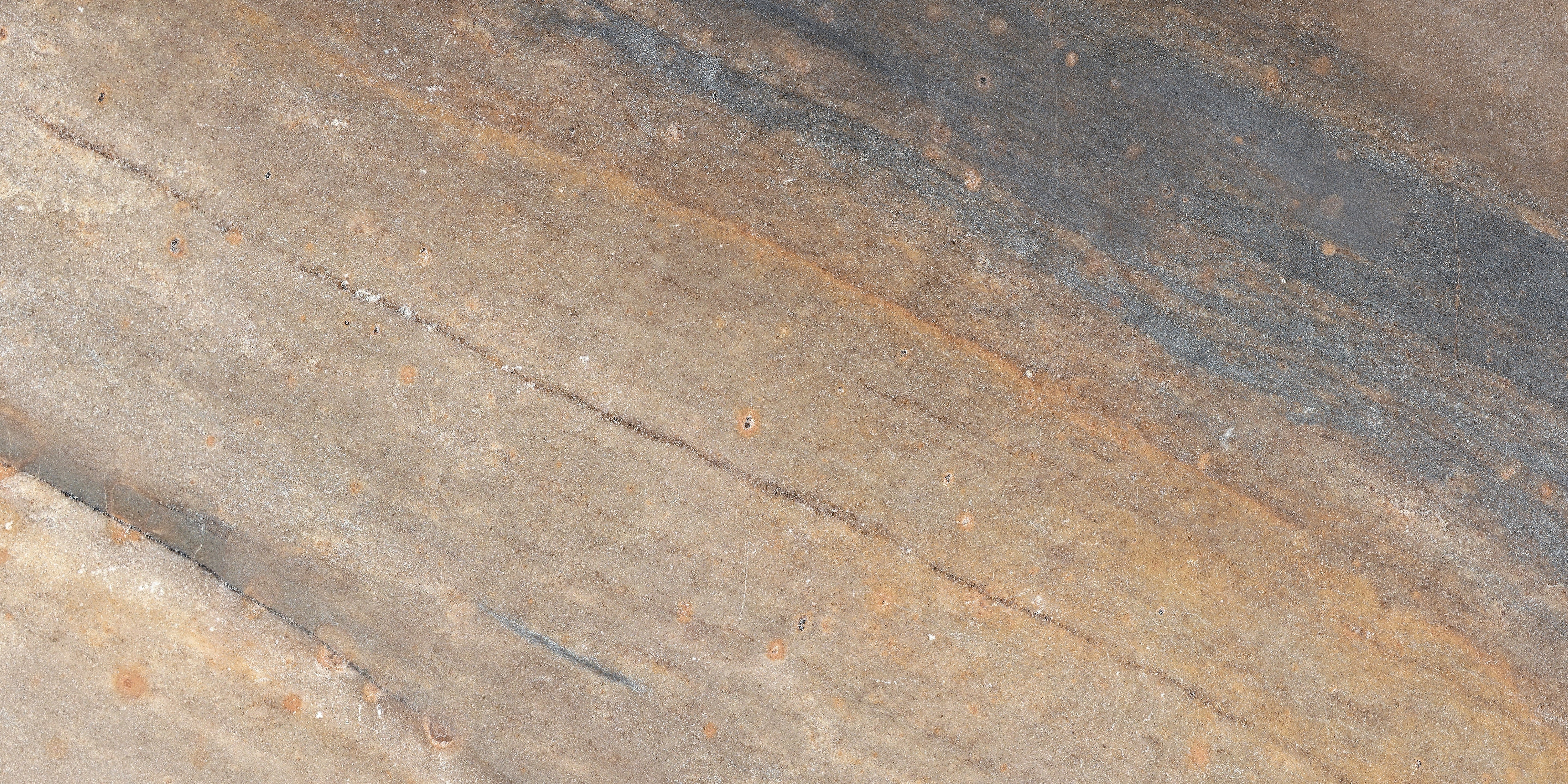 Evolution Earth porcelain field tile by Anatolia, top-down product view, 12"×24"×11/32" size. Turkish porcelain for floors and walls.