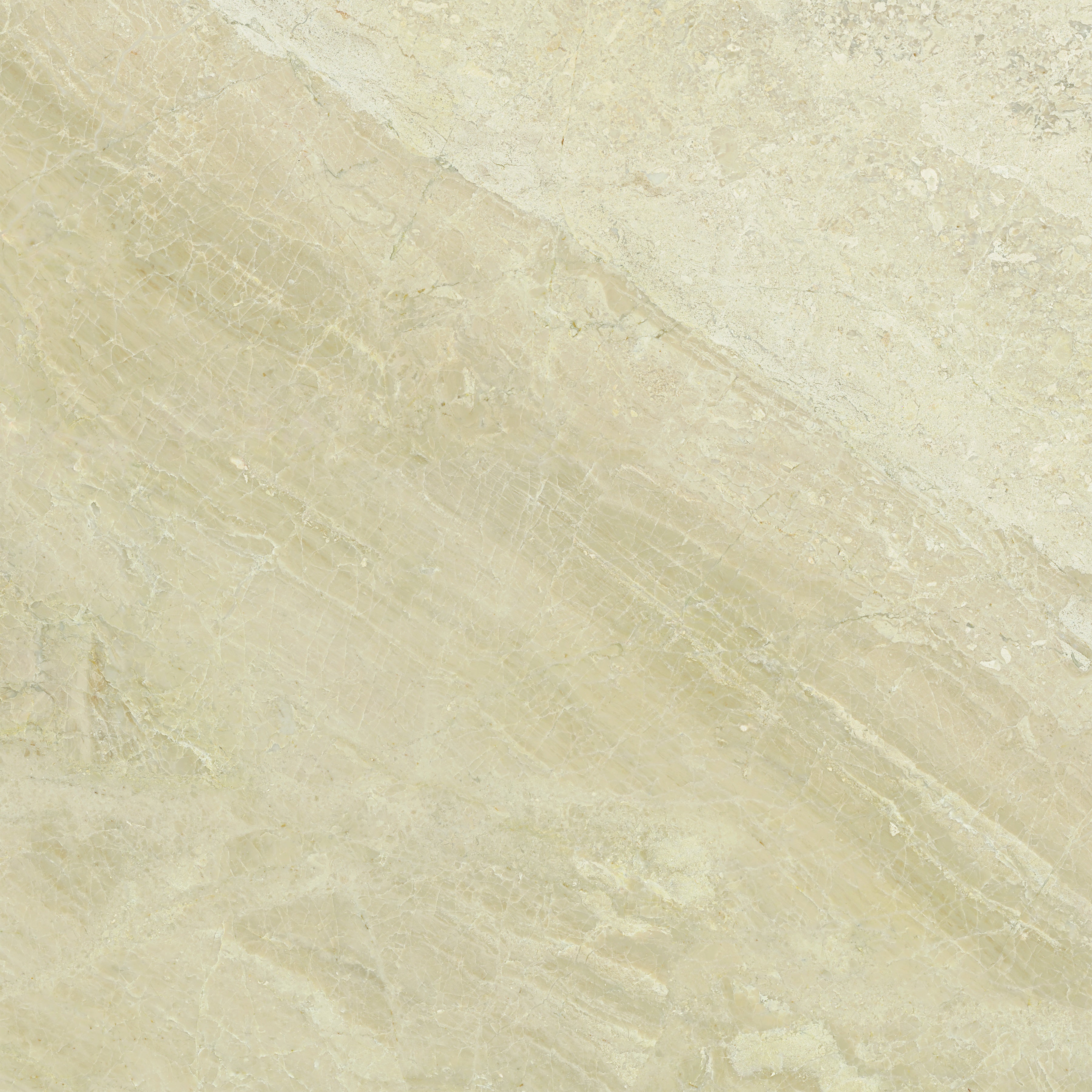 Impero Reale marble field tile by Anatolia, top-down product view, 24"×15/32" size. Turkish marble for floors and walls.