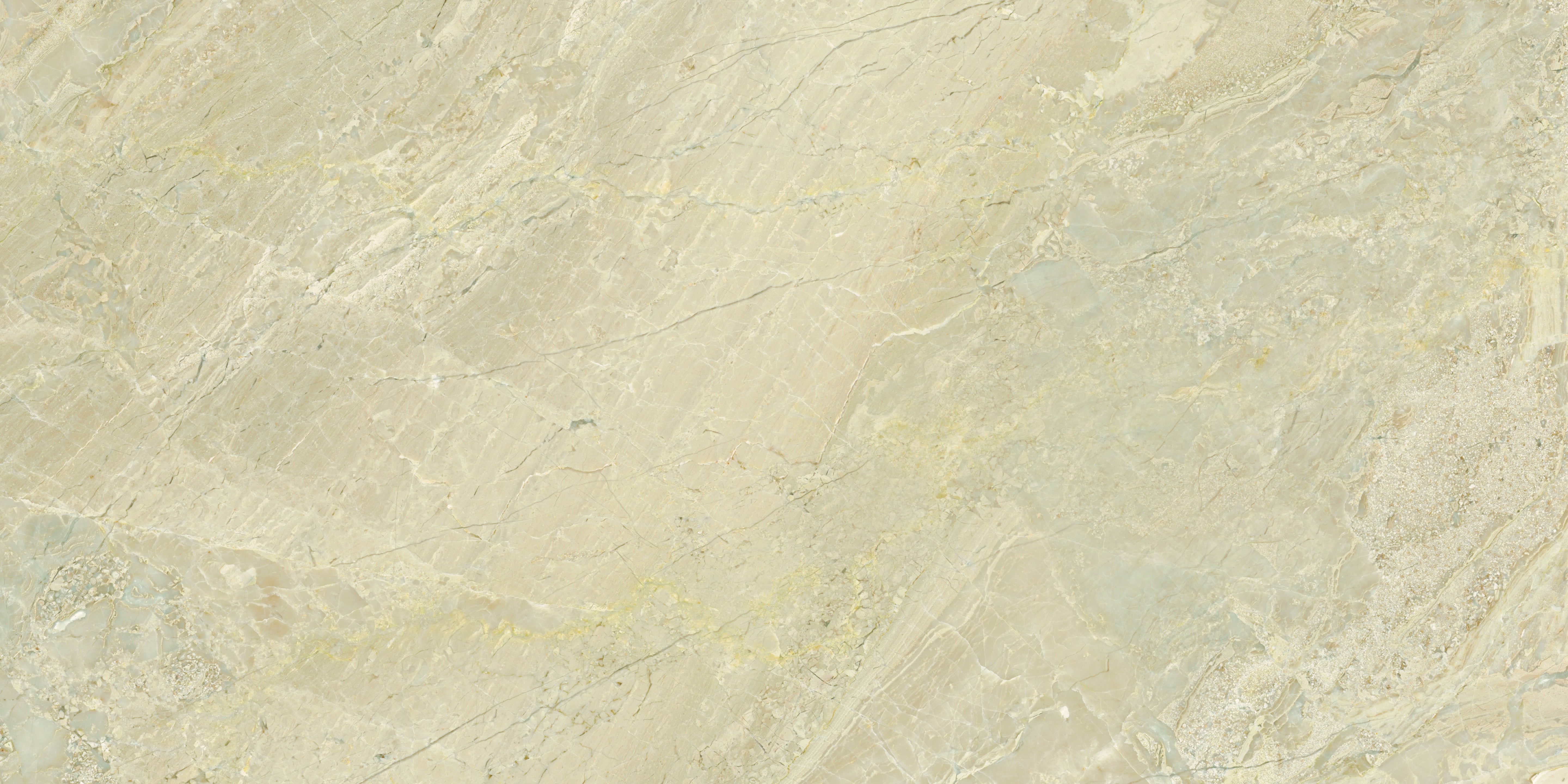 Impero Reale marble field tile by Anatolia, top-down product view, 12"×24"×15/32" size. Turkish marble for floors and walls.